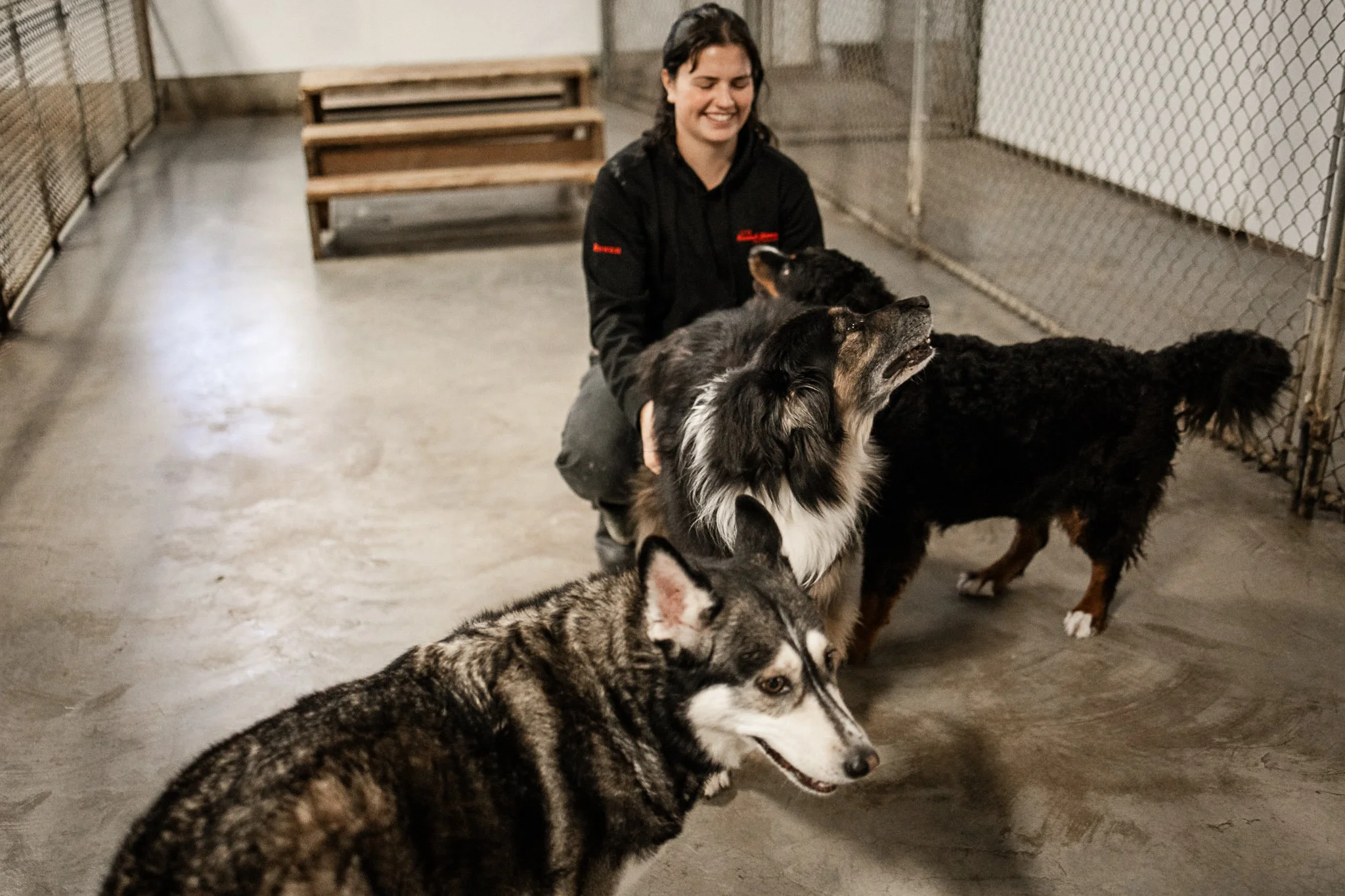 Large dog indoor play space