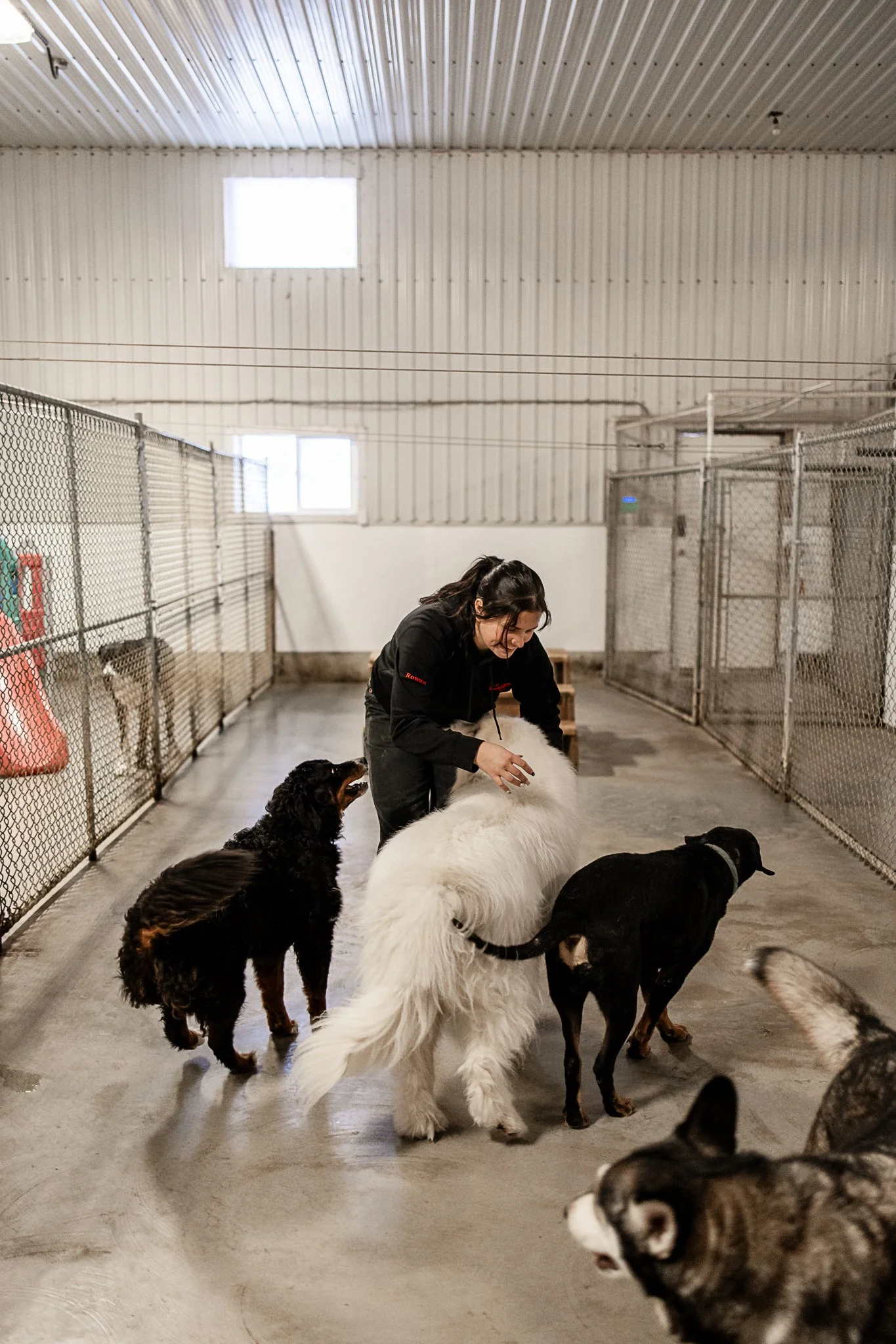 Large dog indoor play space