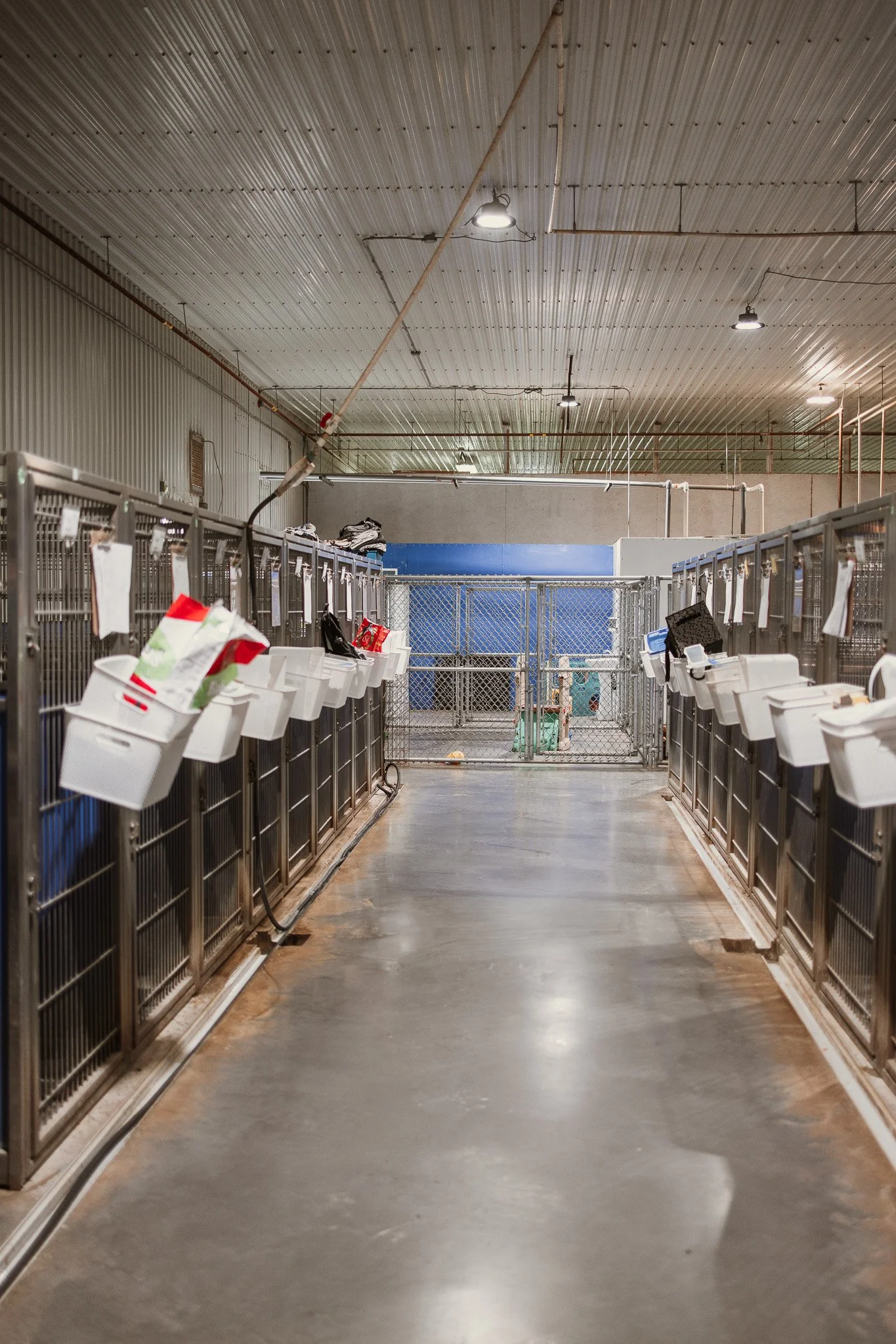 Kennel area of our small/medium dog area