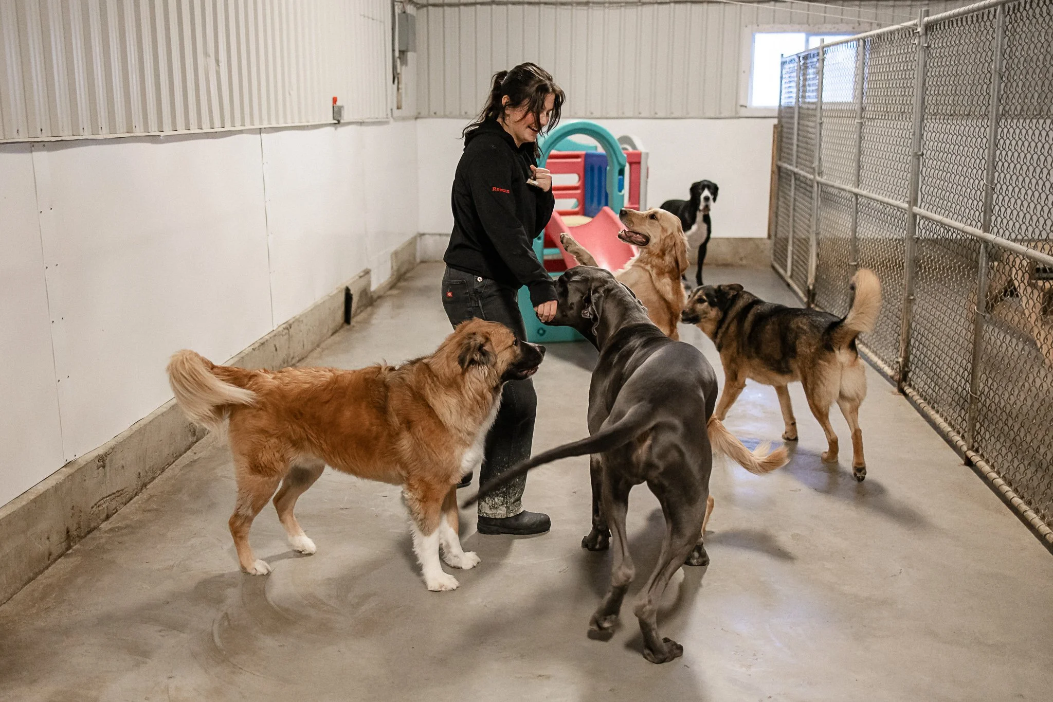 Large dog indoor play space
