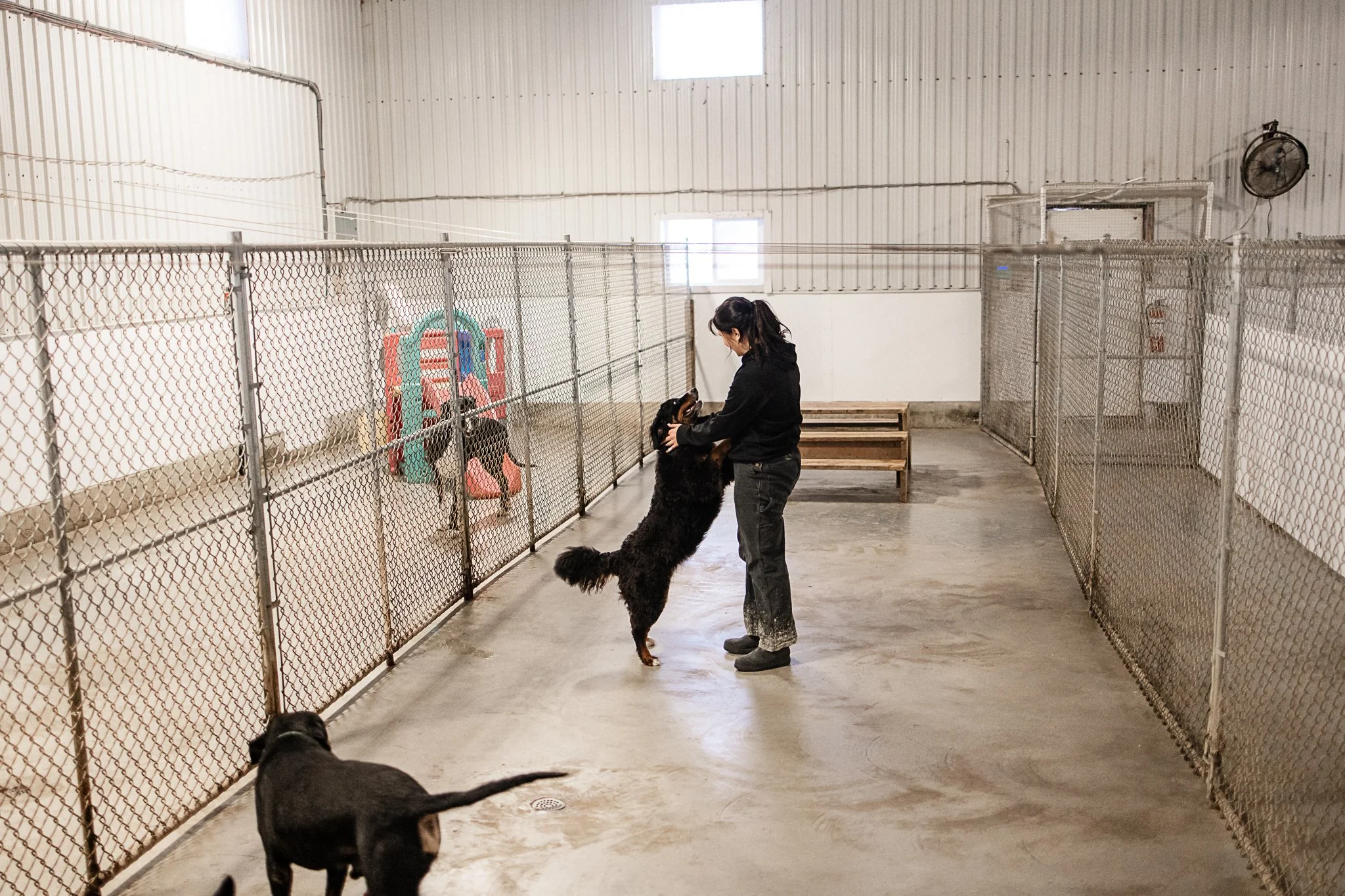 Large dog indoor play space