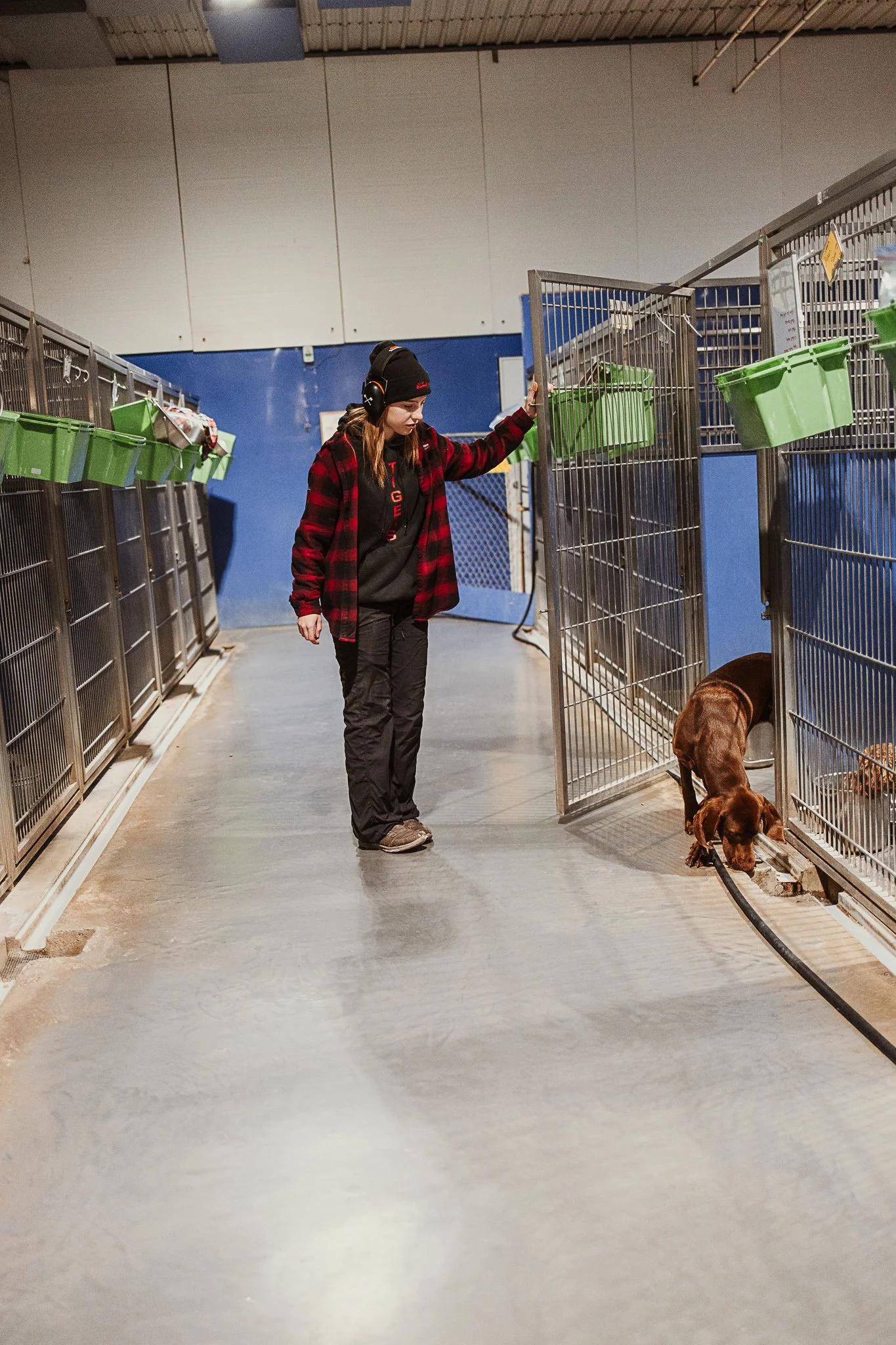 large dog kennel area