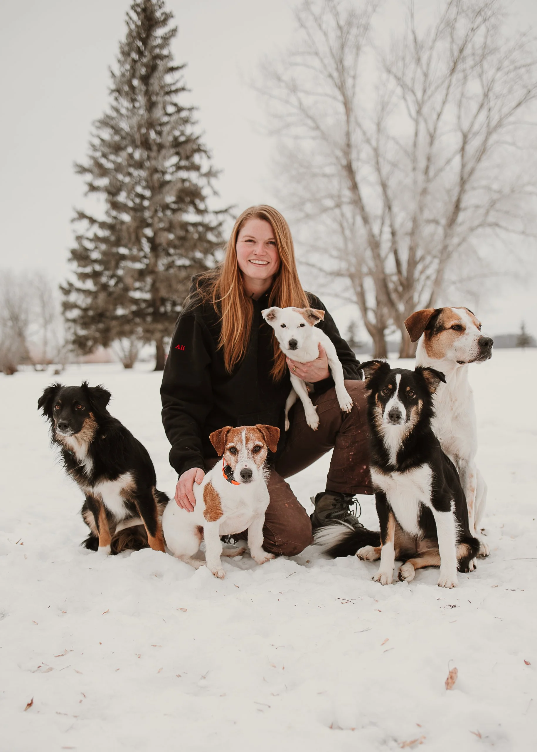 A woman with long red hair, wearing a black jacket, kneels in snow surrounded by five dogs in a winter landscape with leafless trees and snow-covered ground.