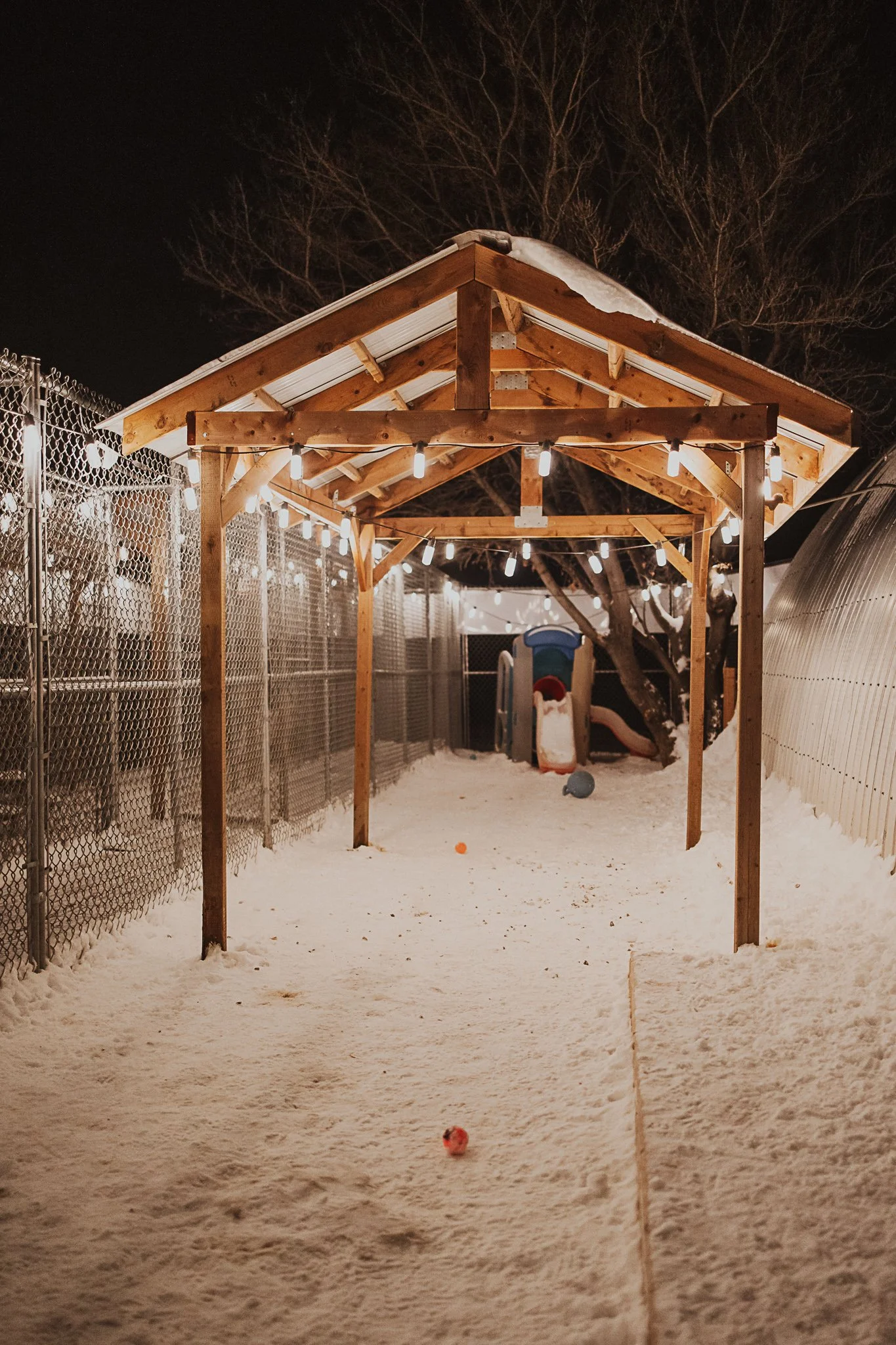 One of our outdoor yards in our small/medium dog area
