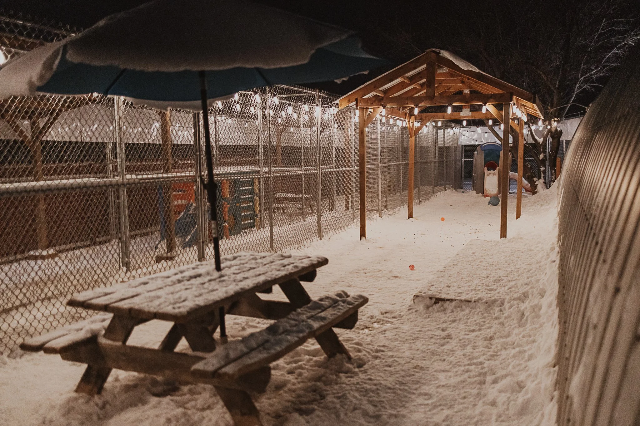 One of our outdoor yards in our small/medium dog area