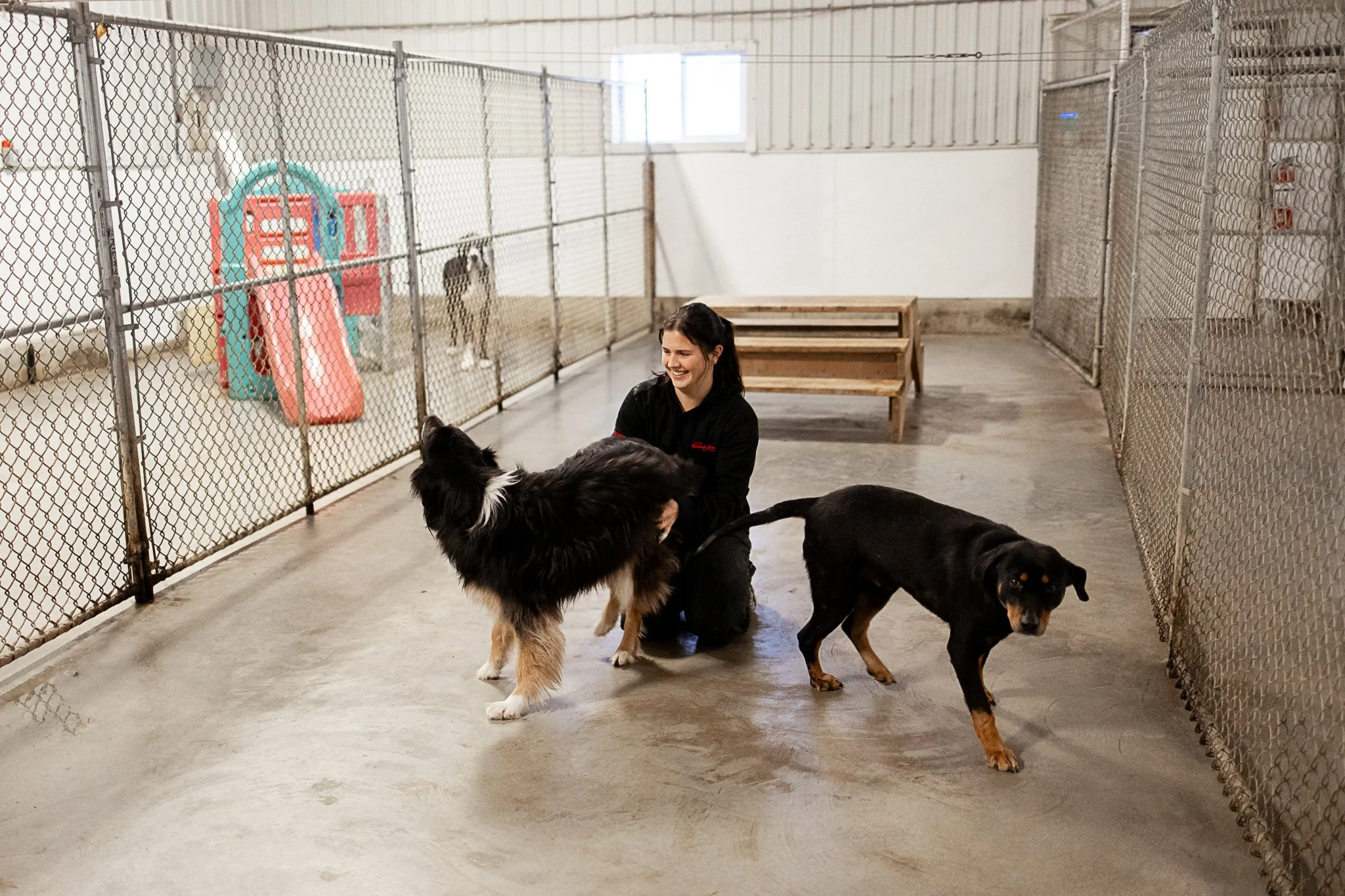 A woman kneeling on the floor of a dog kennel interacting with two dogs, one black and white, and the other mostly black, in a clean indoor kennel with chain-link fencing and a small play area in the background.