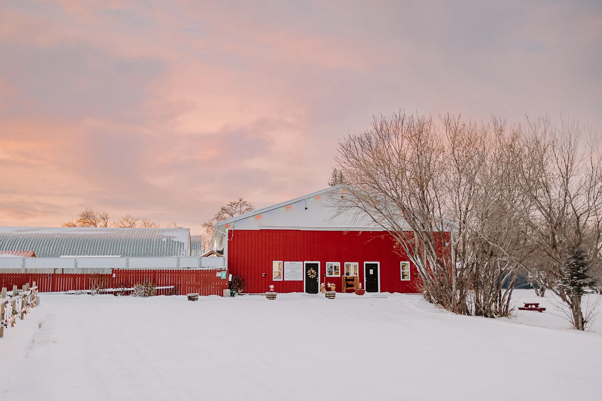 Snow-covered farm with a red barn, leafless trees, and a pastel-colored sky at sunset.