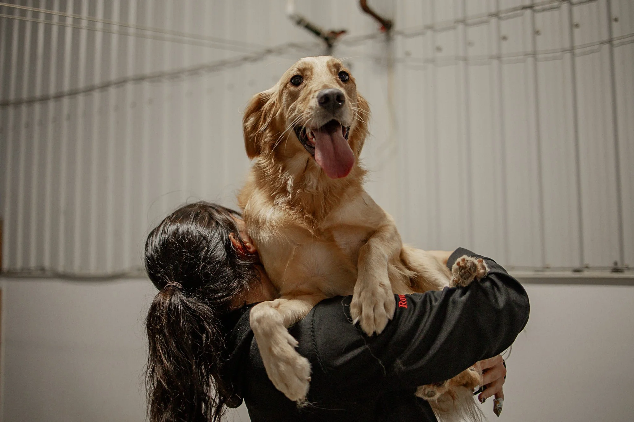 Large dog indoor play space