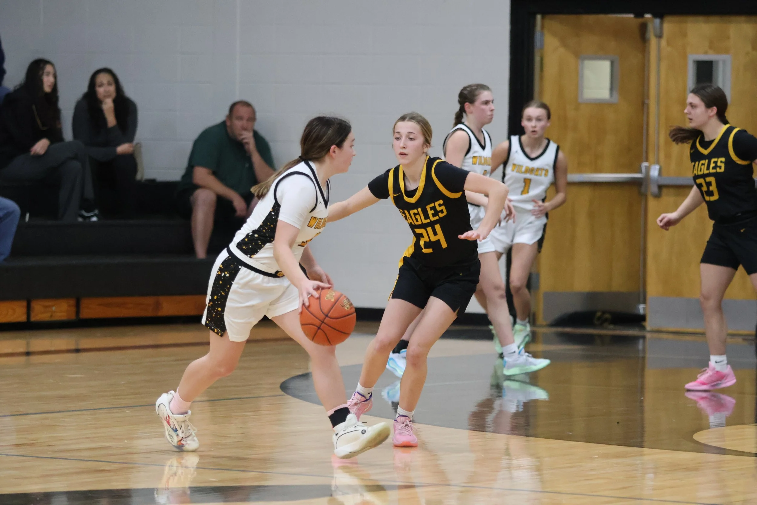Girls playing basketball in a gym, one girl with the ball trying to pass while another defends
