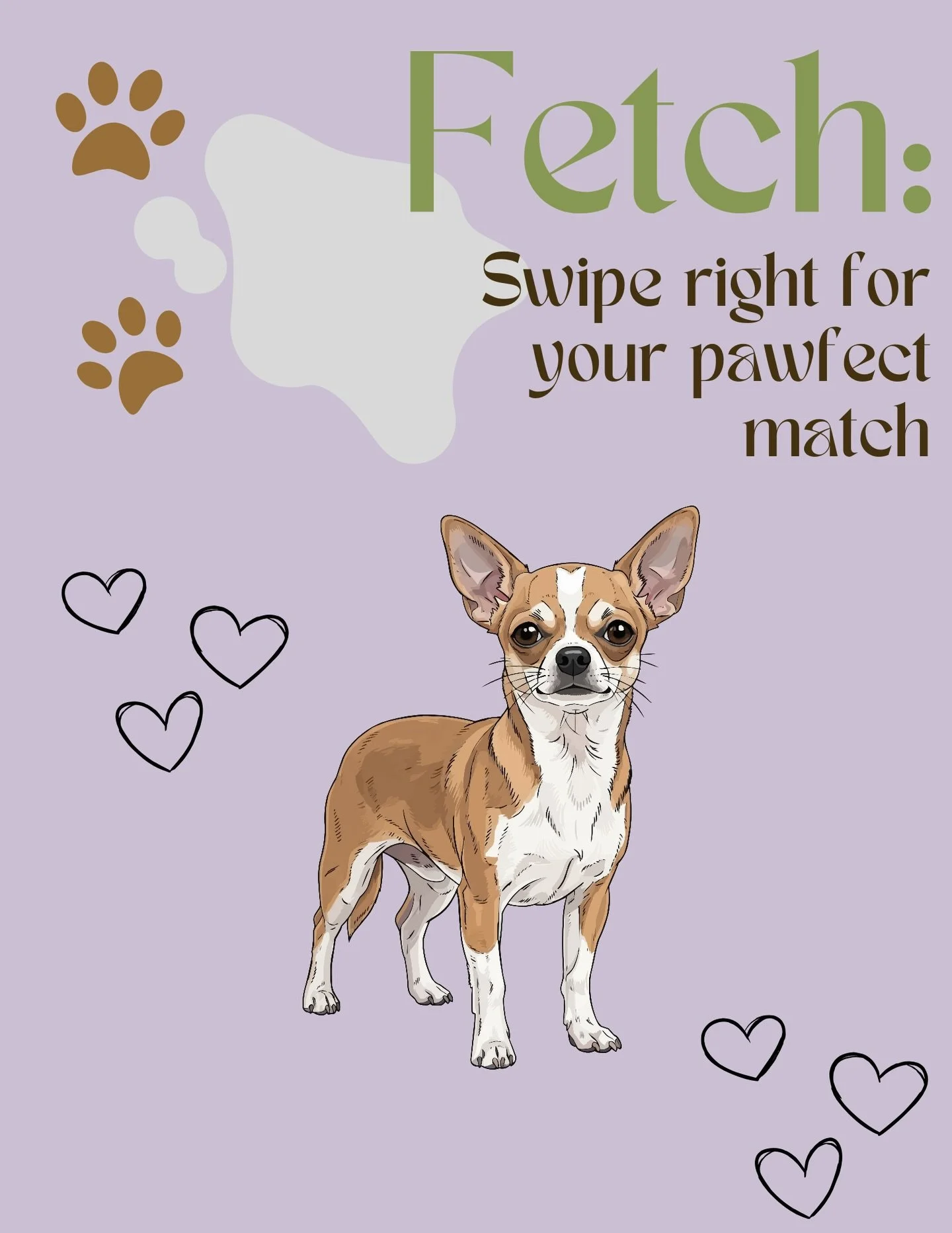 Does your sign align with this breed ? #fetch #gemini #chihuahua #valentinesday
