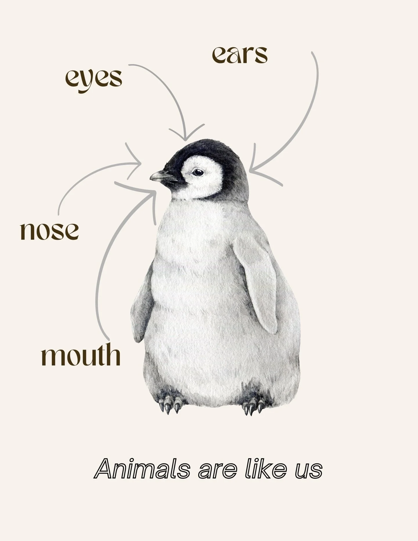 Animals are like us ! 🐧