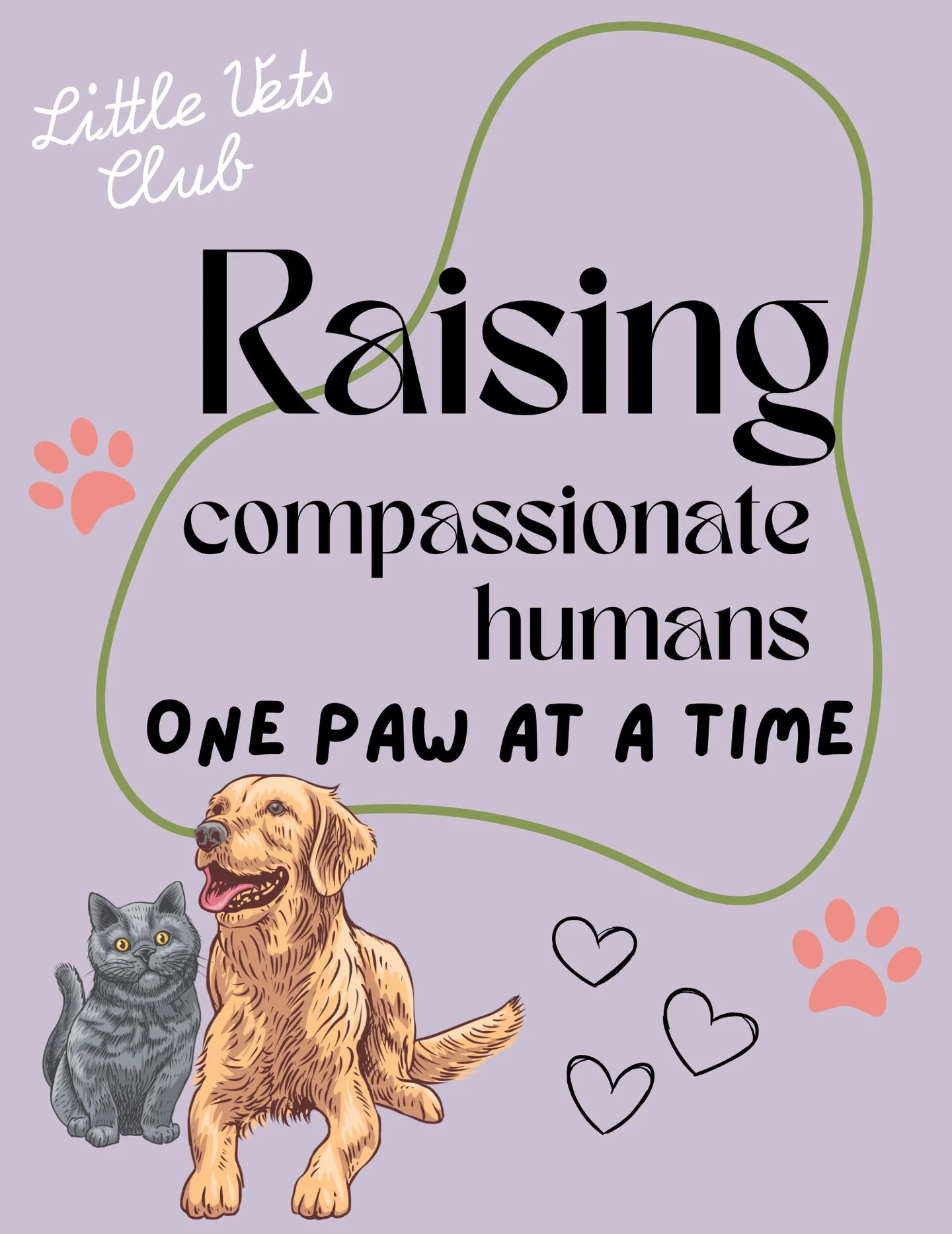 Paws &amp; reflect 🐾