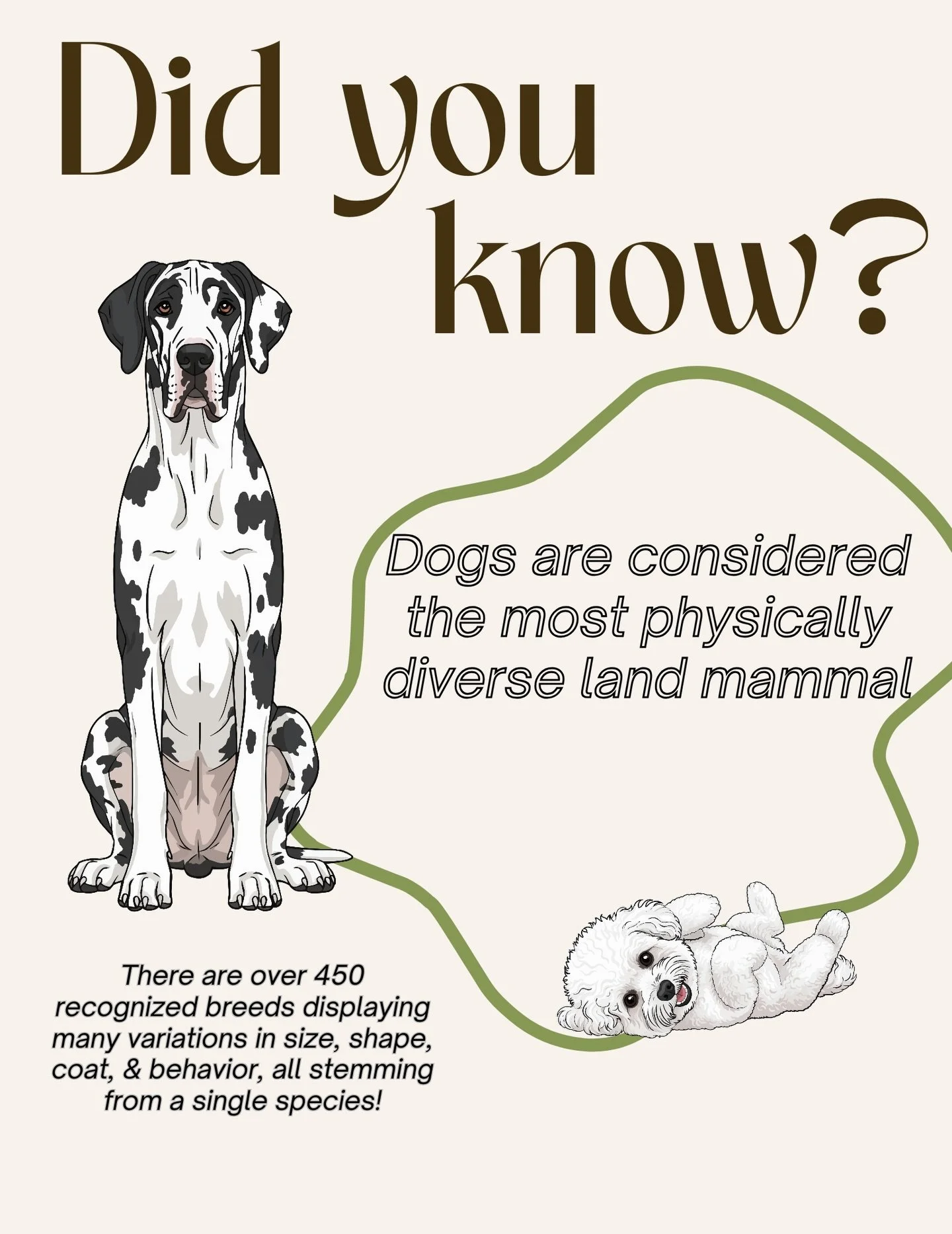 🐕🐩🦮🐕&zwj;🦺