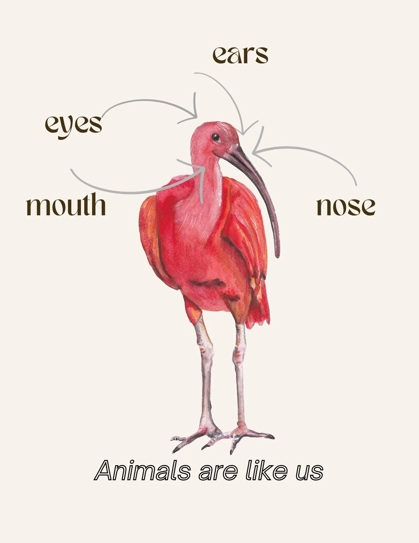 Animals are like us !