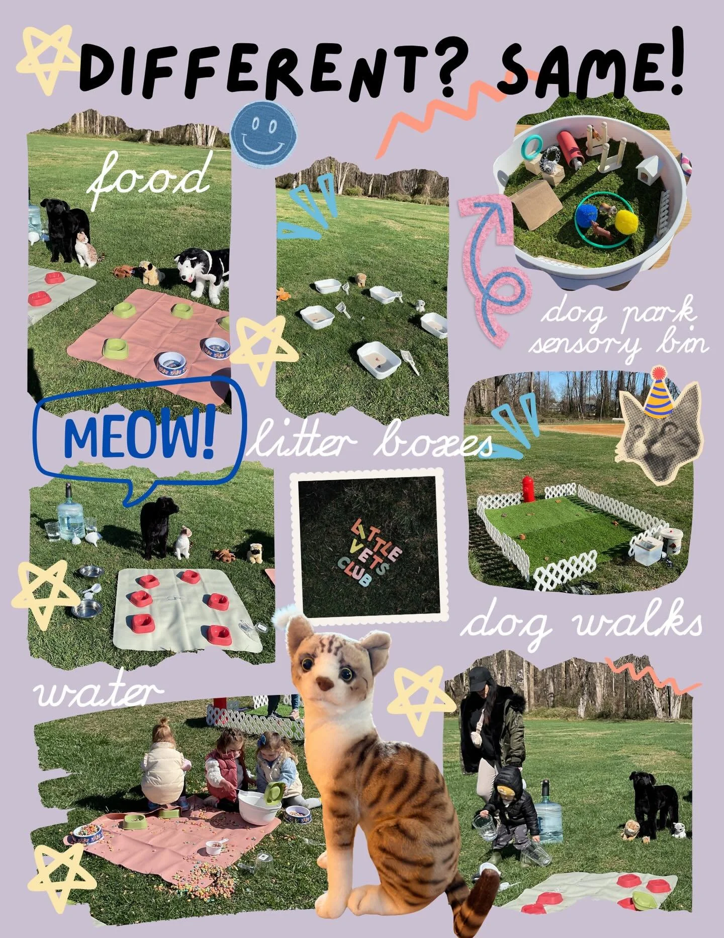 Class 2: Different? Same! 

Today we started taking care of our pets! We learned from our story time that all animals have differences &amp; similarities. We are also animals &amp; have things in common with our pets. Last week we learned animals hav