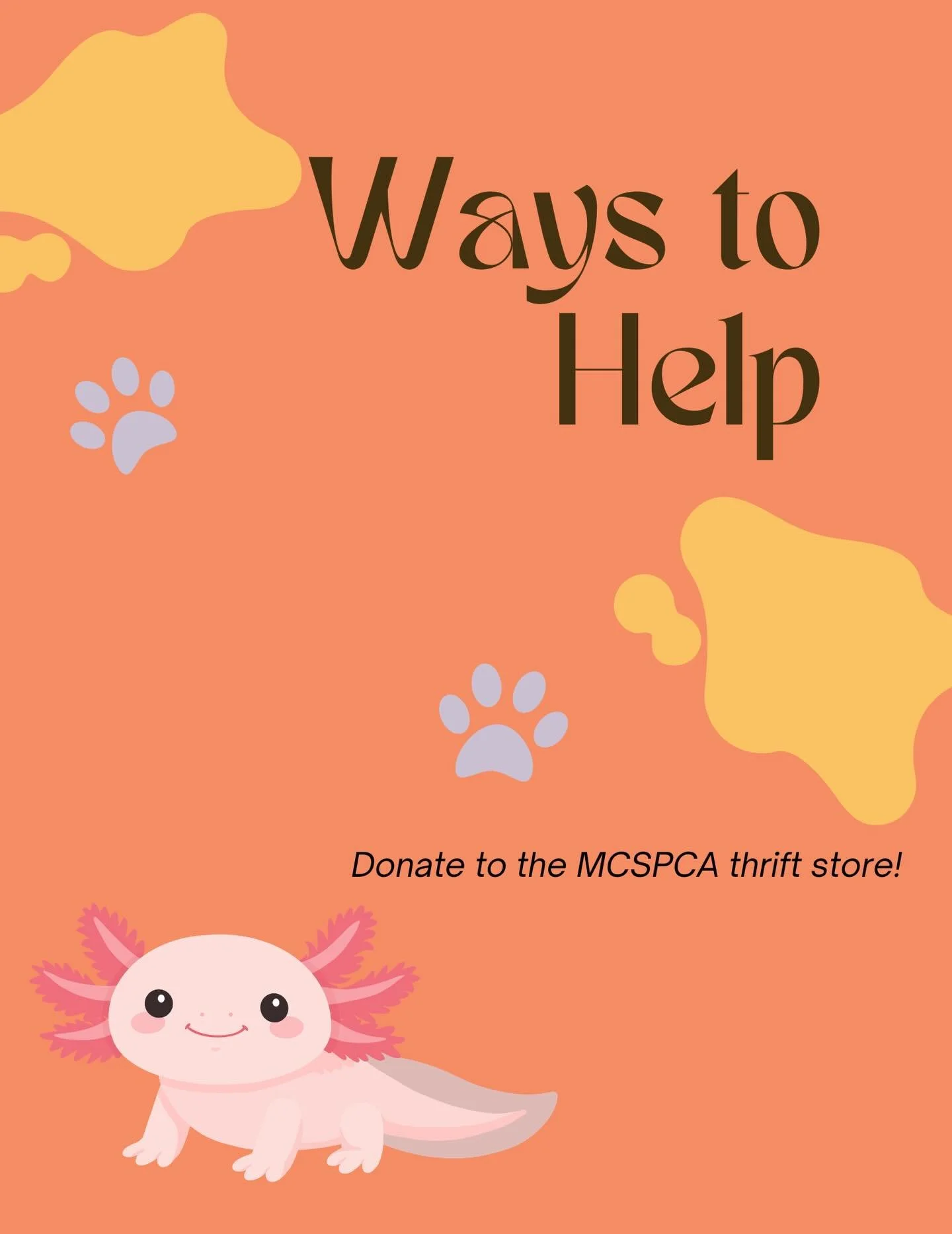 Did you know @mcspca has a thrift store you can donate your belongings to? Proceeds help the shelter ! 🐾