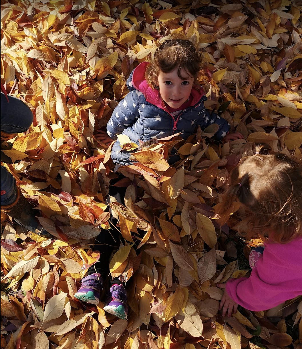 Screenshot 2025-08-26 at 5.37.46 PM.png