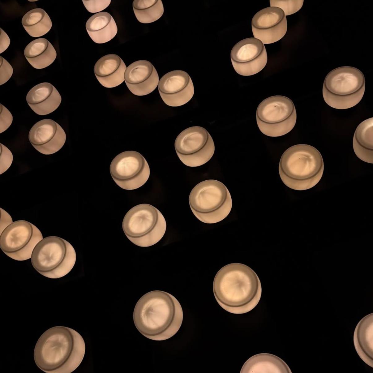 Contact Mary Helen Specht