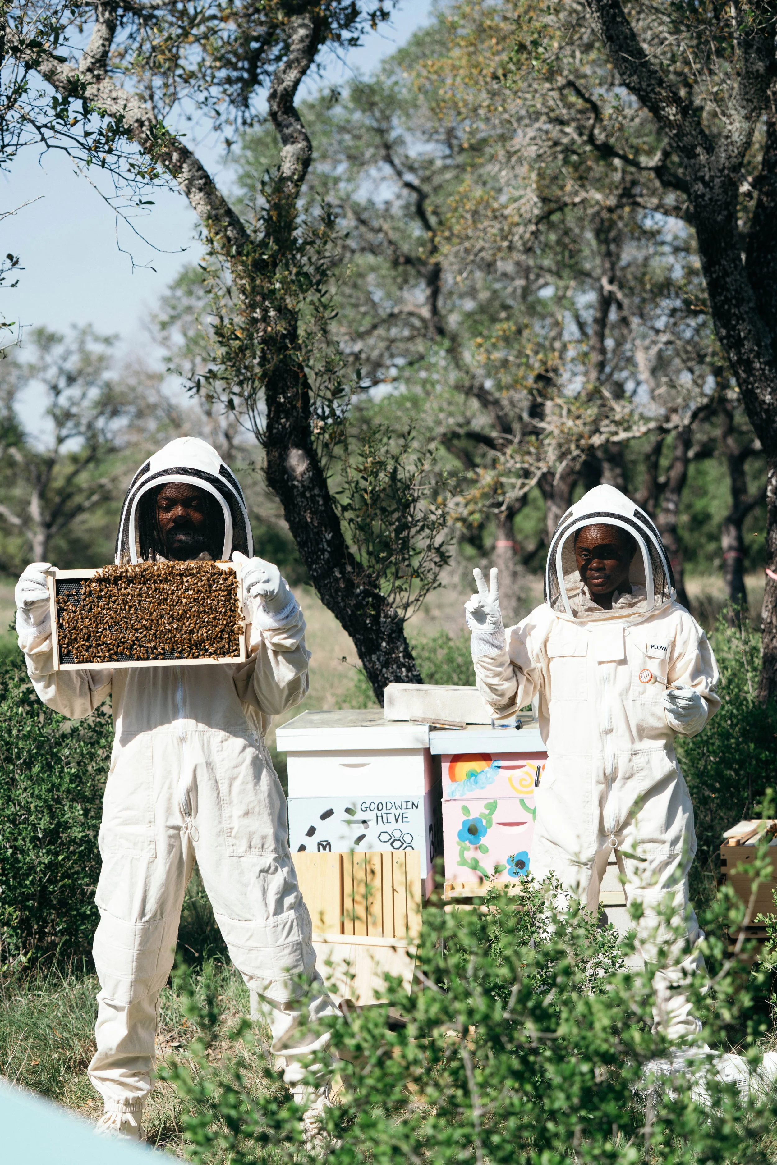 Healing Through Beekeeping 🐝