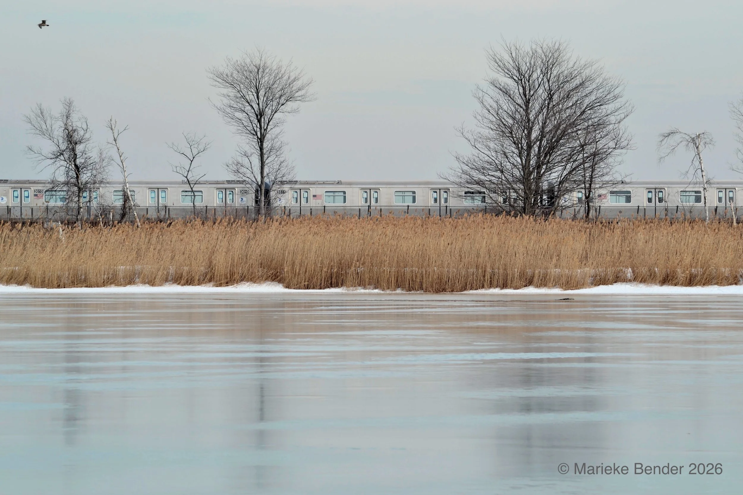 DSC_0241 (1)-edited.jpeg