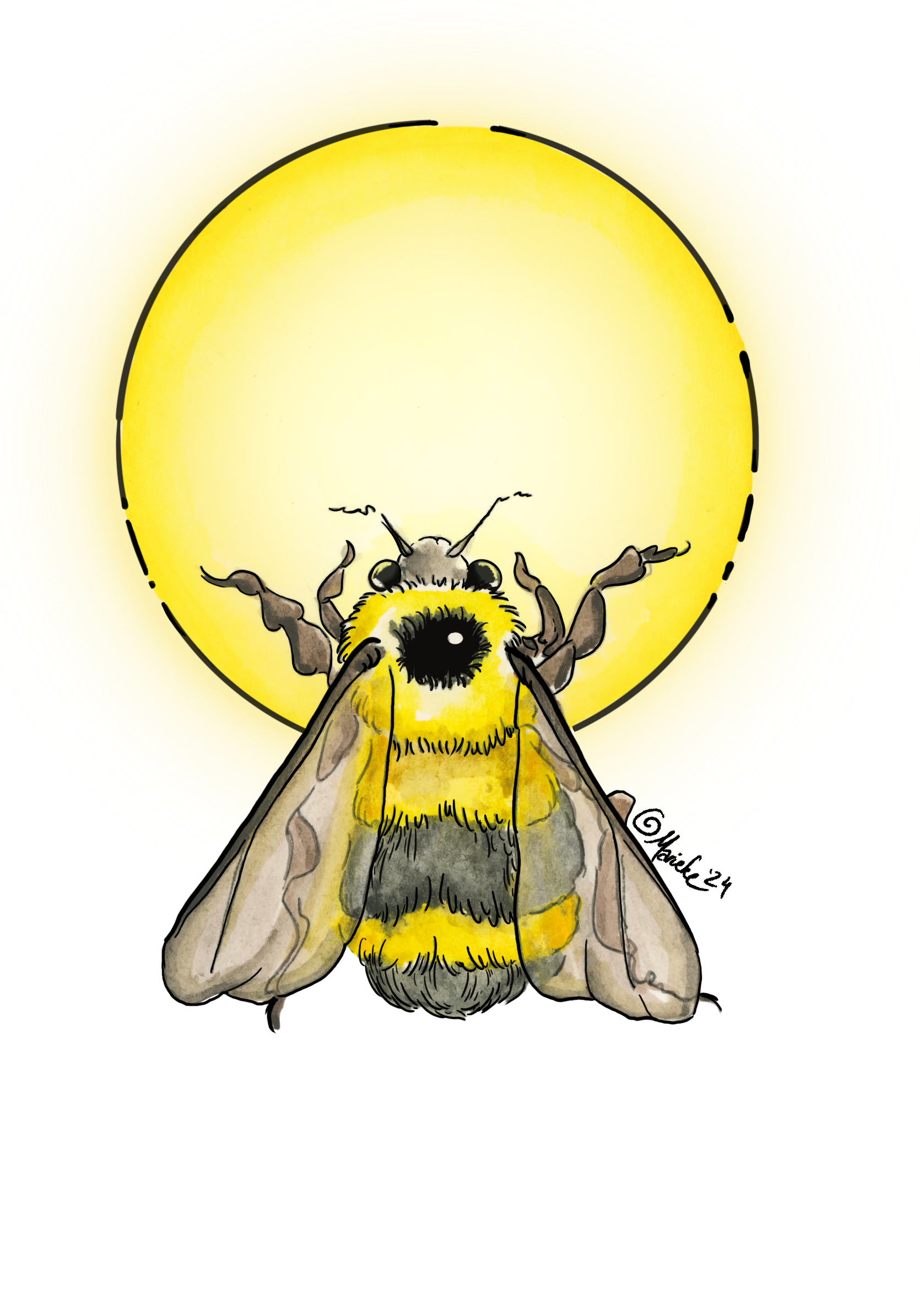 Untitled_Artwork (1).png