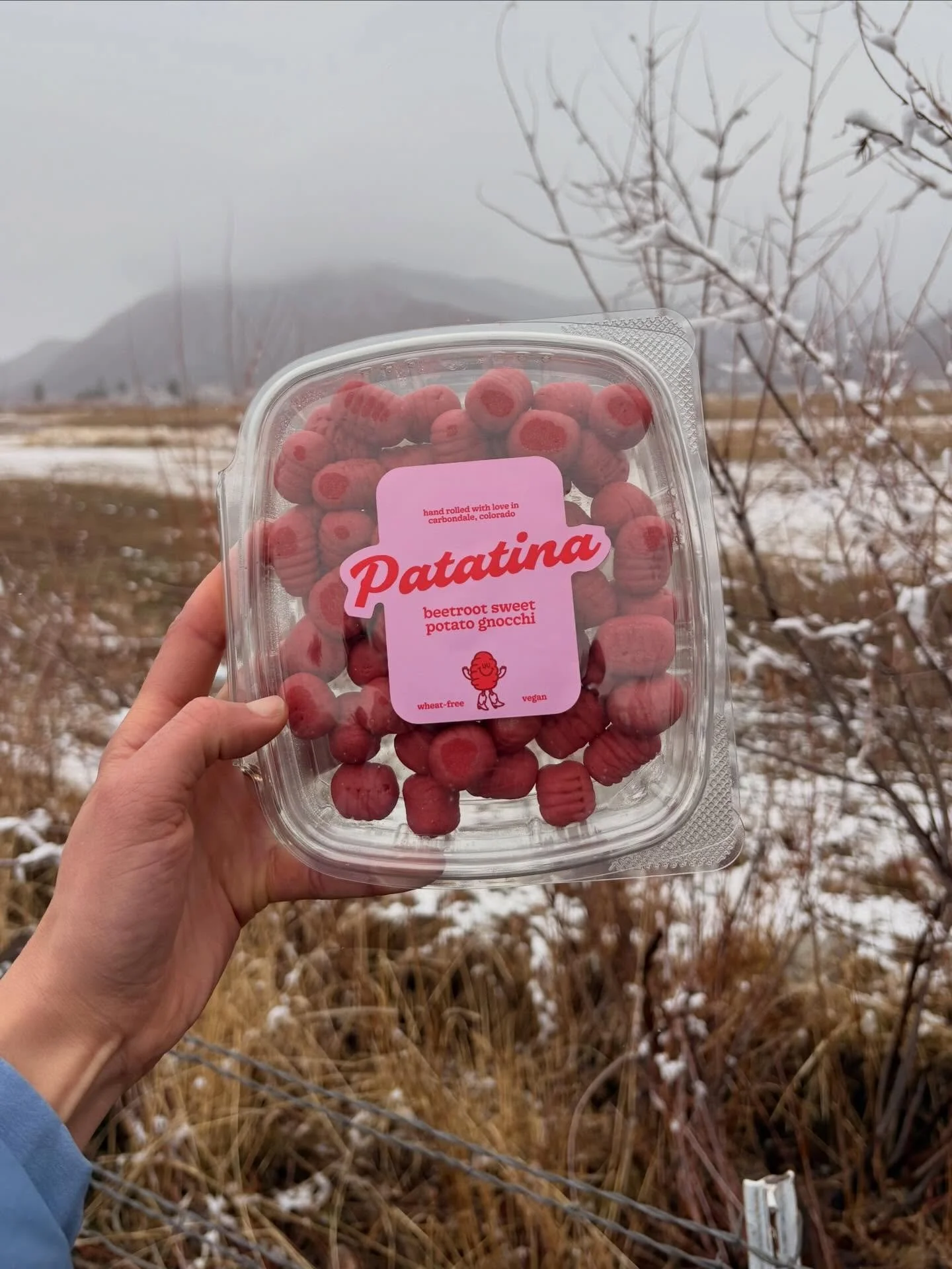 The perfect meal for a cozy snow day in the mountains.

🤗🏔️❄️

#sweetpotatognocchi #gnocchi