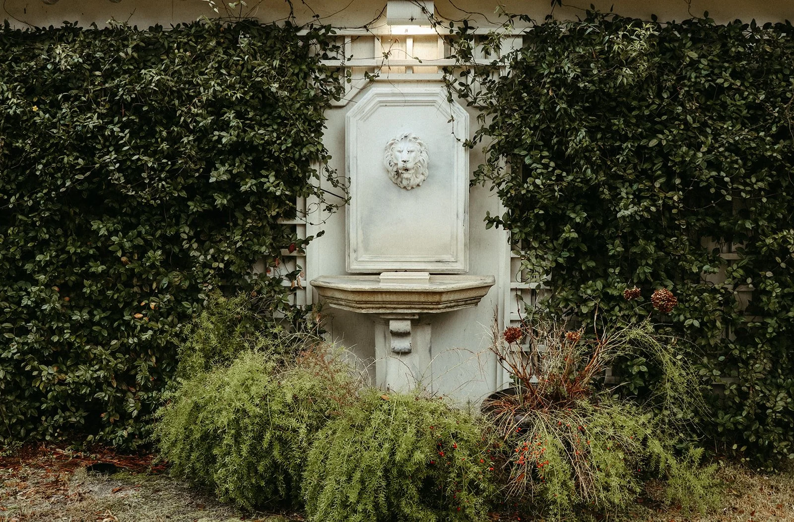 Stone fountain with a lion's head sculpture in a garden, surrounded by lush green plants and shrubs.