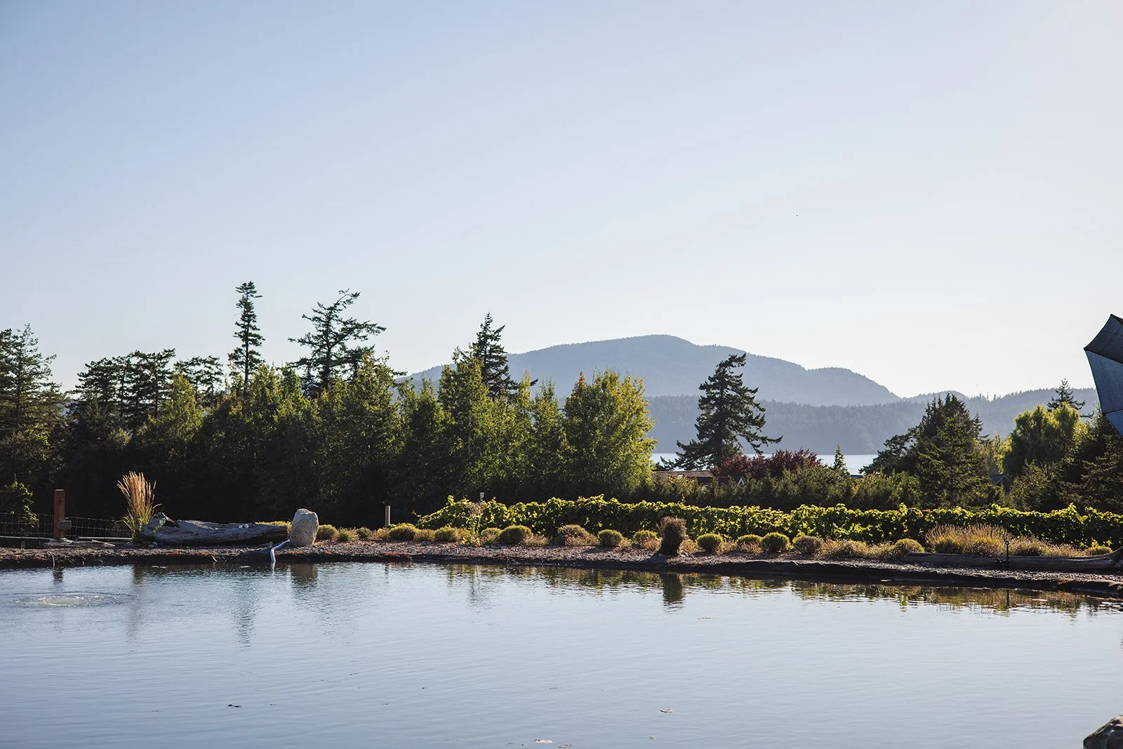A peaceful outdoor scene of a pond with calm water, surrounded by lush green trees and shrubs, with mountains in the background under a clear sky.