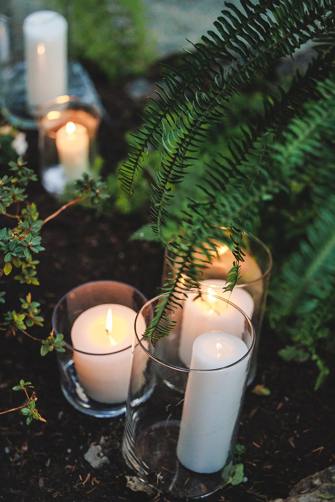 Multiple candles in glass holders with a fern and plants, illuminated in a dark outdoor setting.