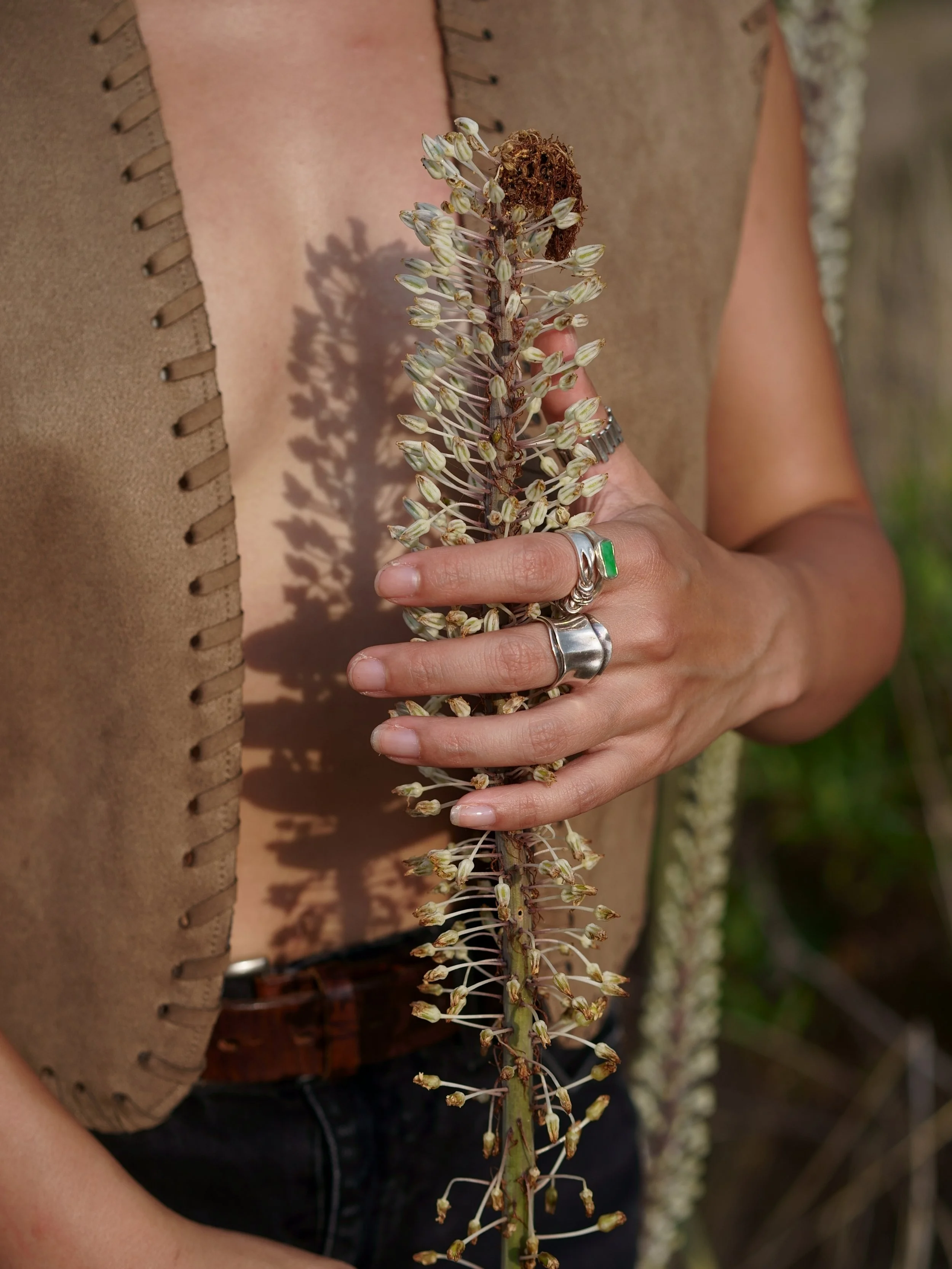 Person holding a plant with long stalk and small white flowers, wearing multiple silver rings with a green gemstone and a leather belt.