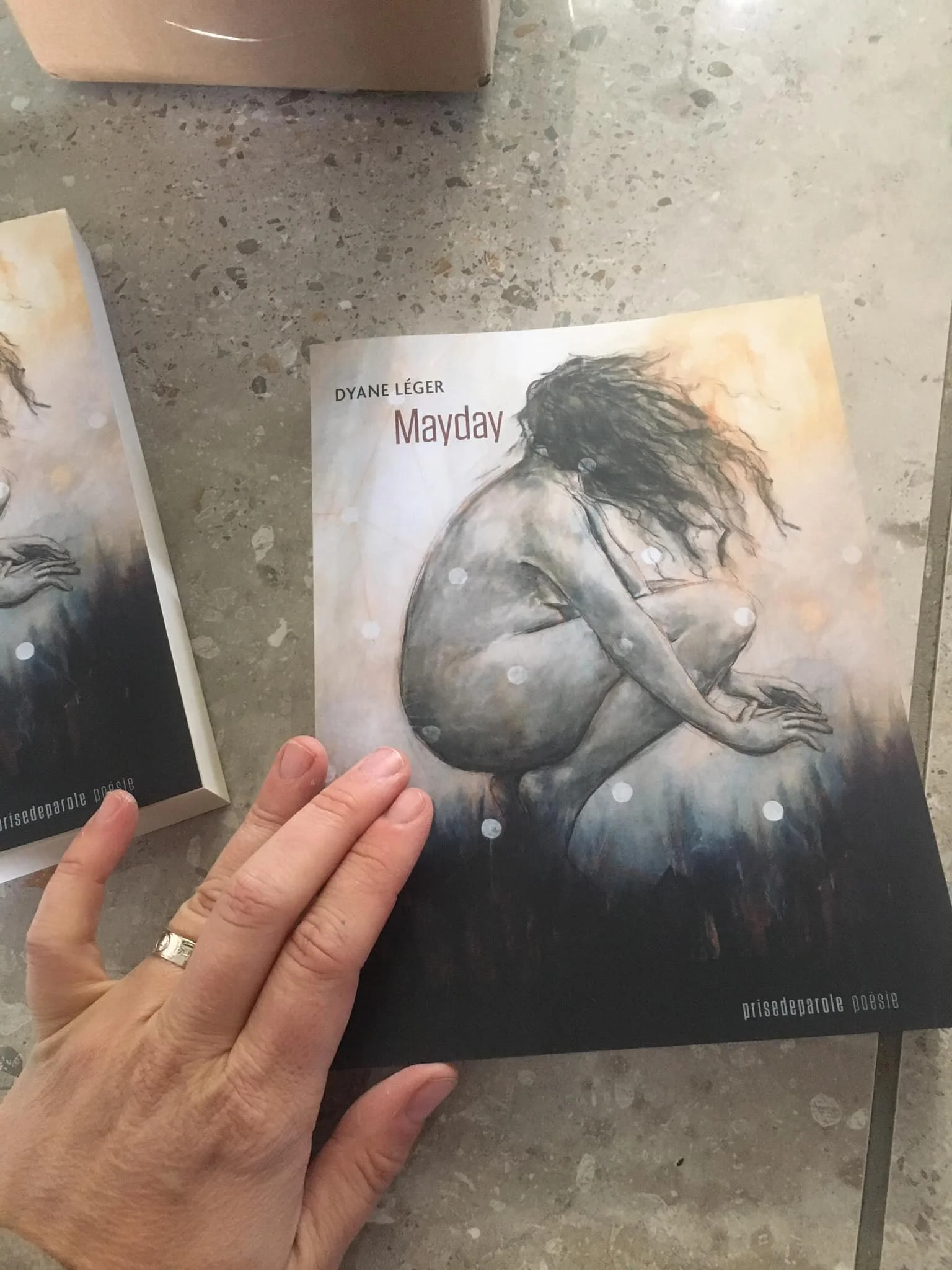 L'œuvre "Garder l'équilibre" choisie pour  la page couverture du magnifique recueil "MAYDAY" de Dyane Léger