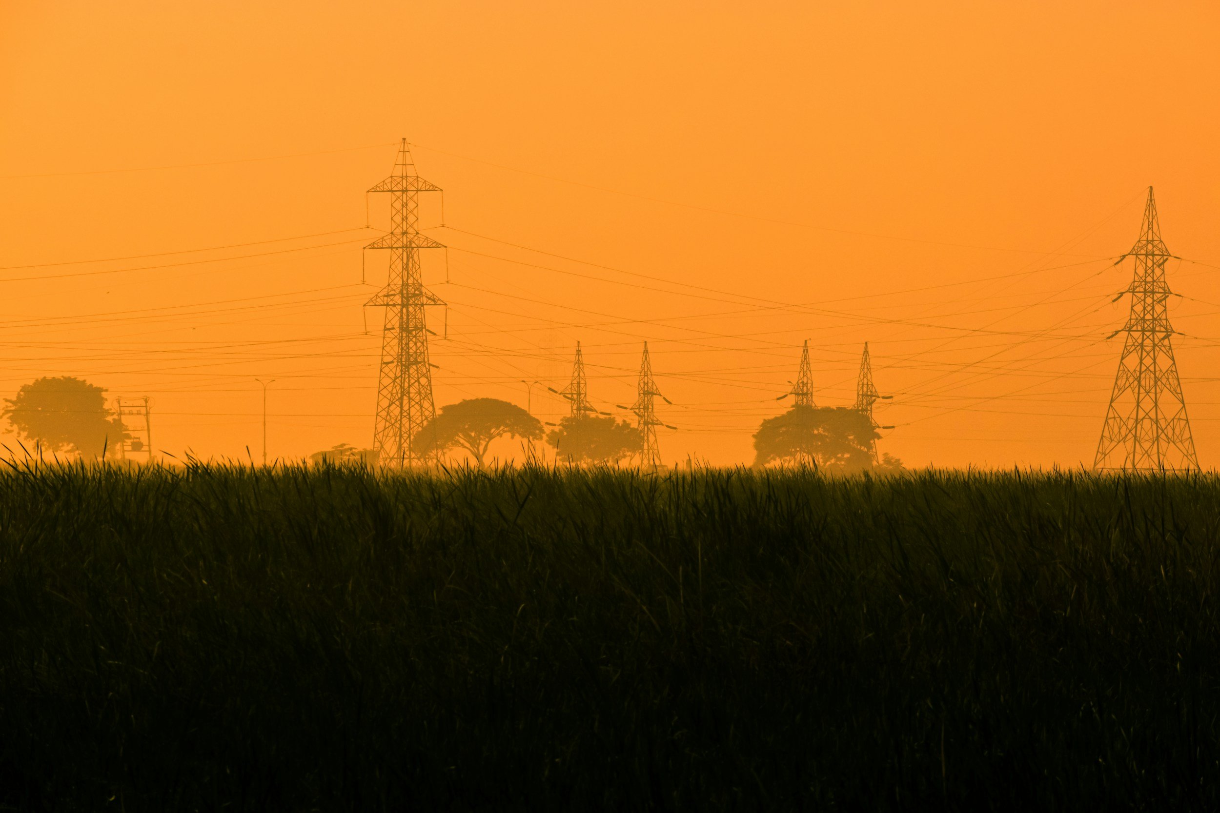 A field of tall grass with silhouettes of electrical towers and power lines against an orange sunset sky.