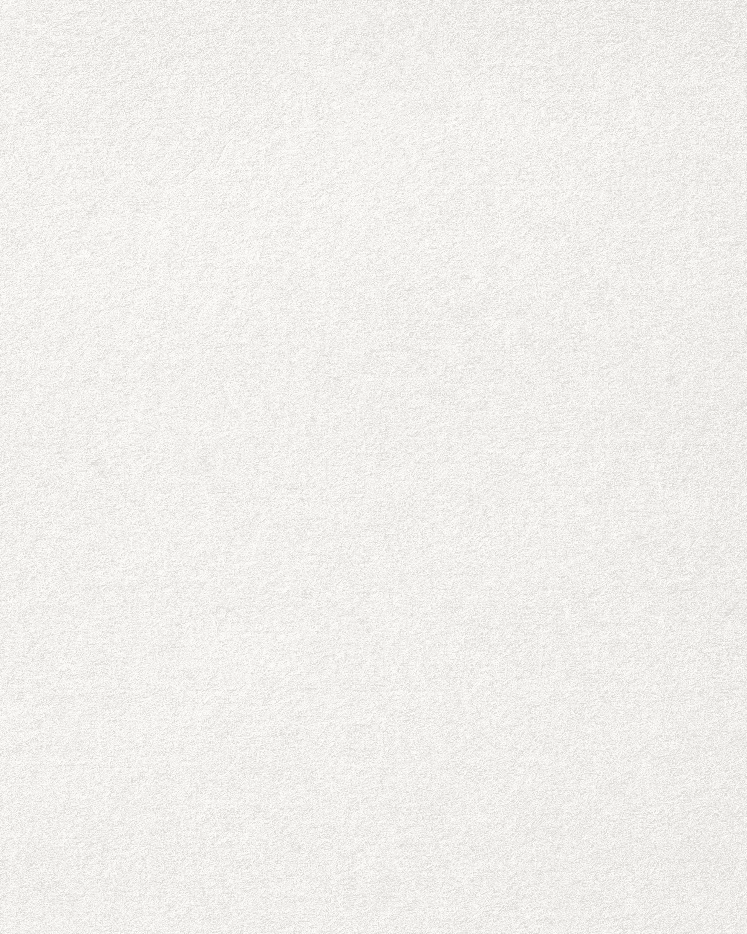 The image appears to be blank with a textured white background. There are no distinct objects or features visible.