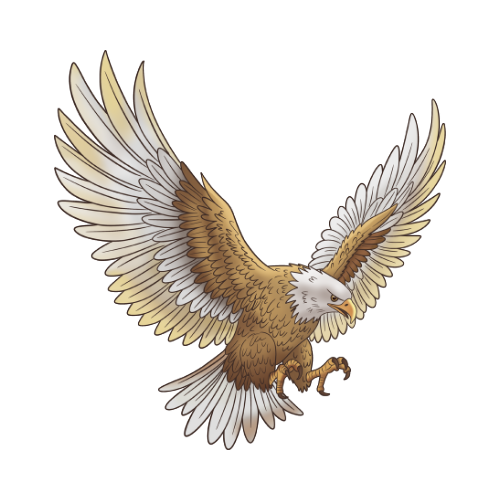 An image of an eagle flying