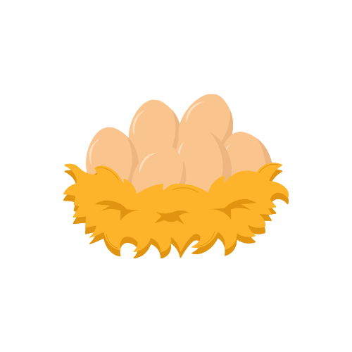 Image of eggs in a nest