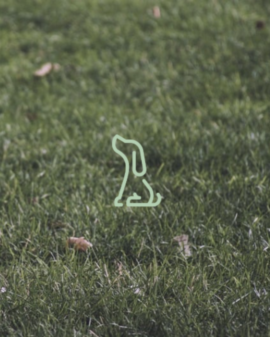 16.png