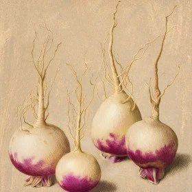Four turnips with purple bottoms and tall, sparse green stems on a beige background.