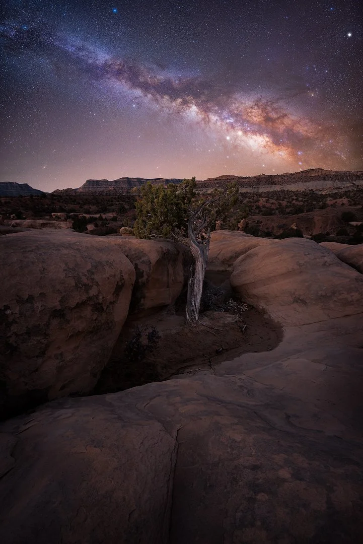 Devils Garden MW 2025 Edit.jpg