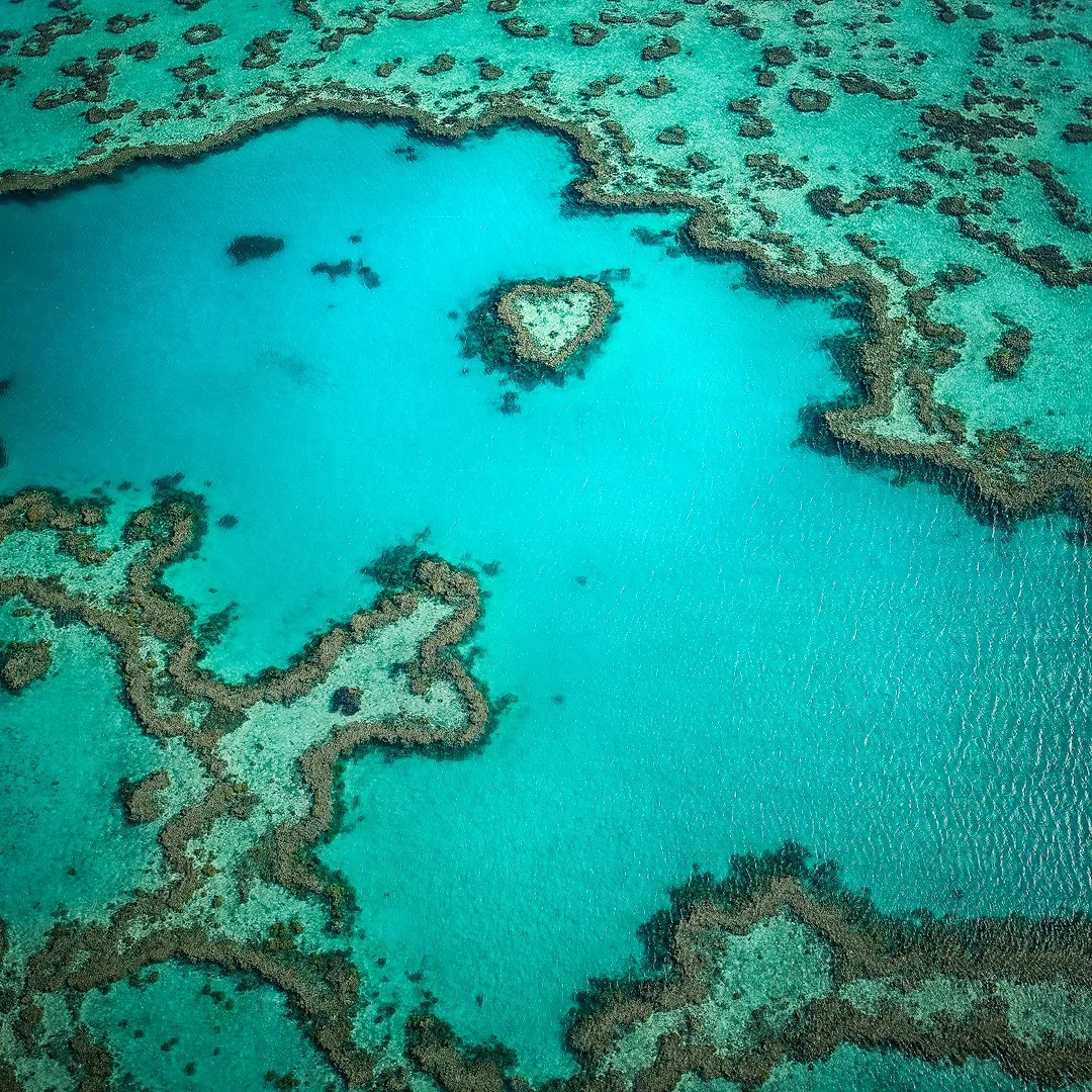 Heart Reef.jpg