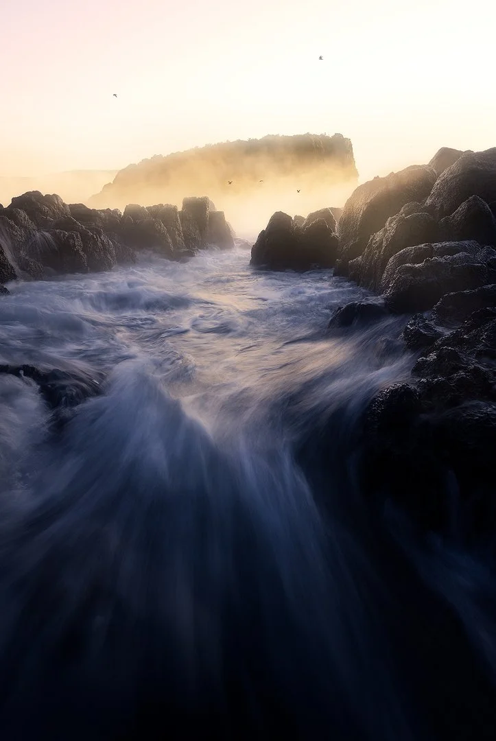 Minnimurra Focal Blend.jpg