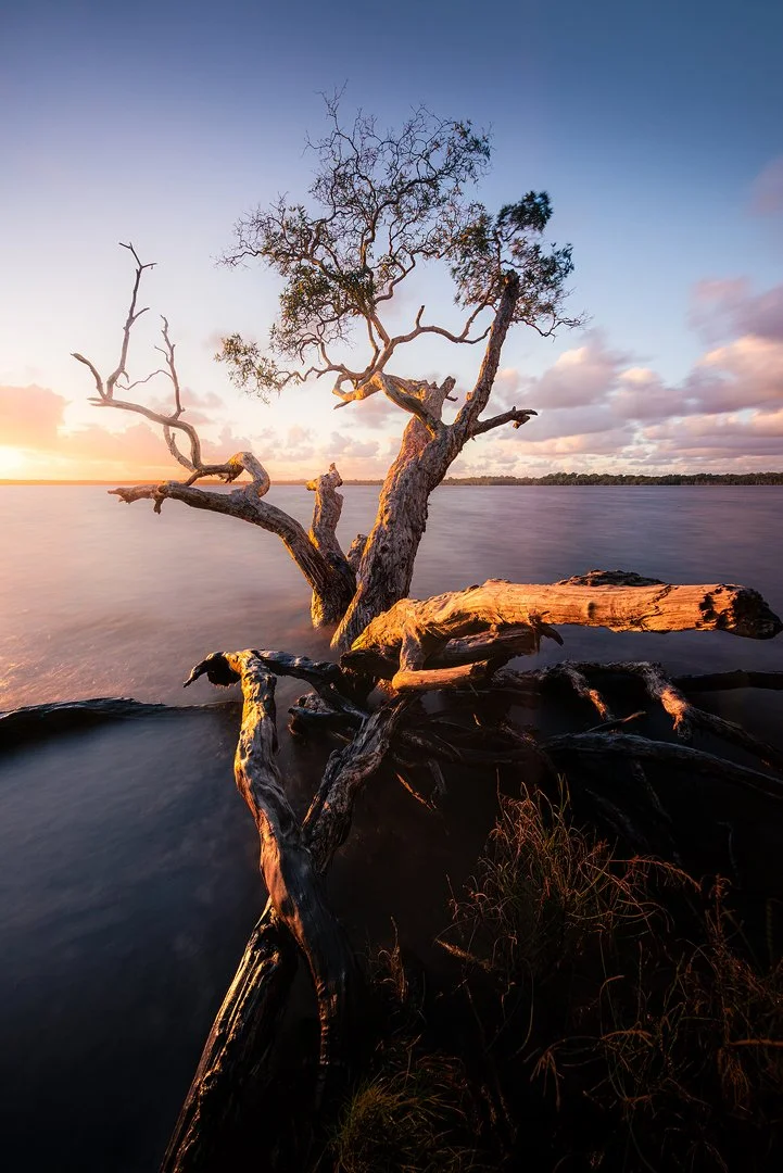 Updated Lake Weyba.jpg