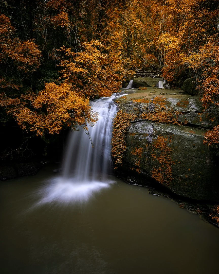 Buderim Falls From Bridge Autumn.jpg