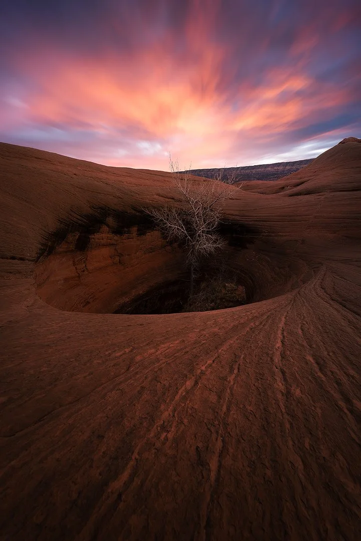 Tree in a Hole 2025 edit.jpg