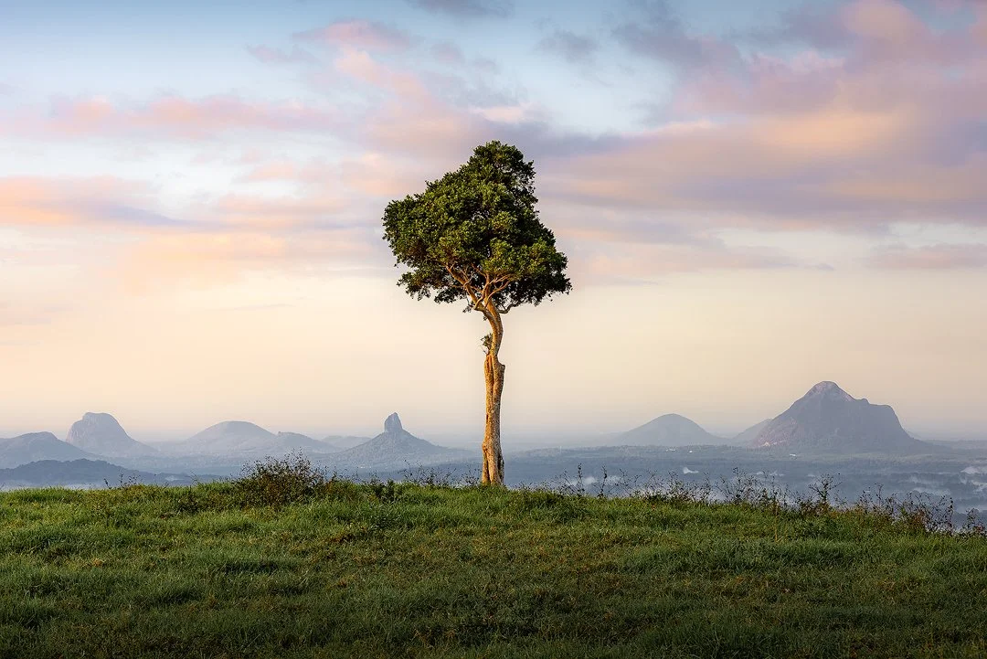 One Tree Hill Maleny.jpg