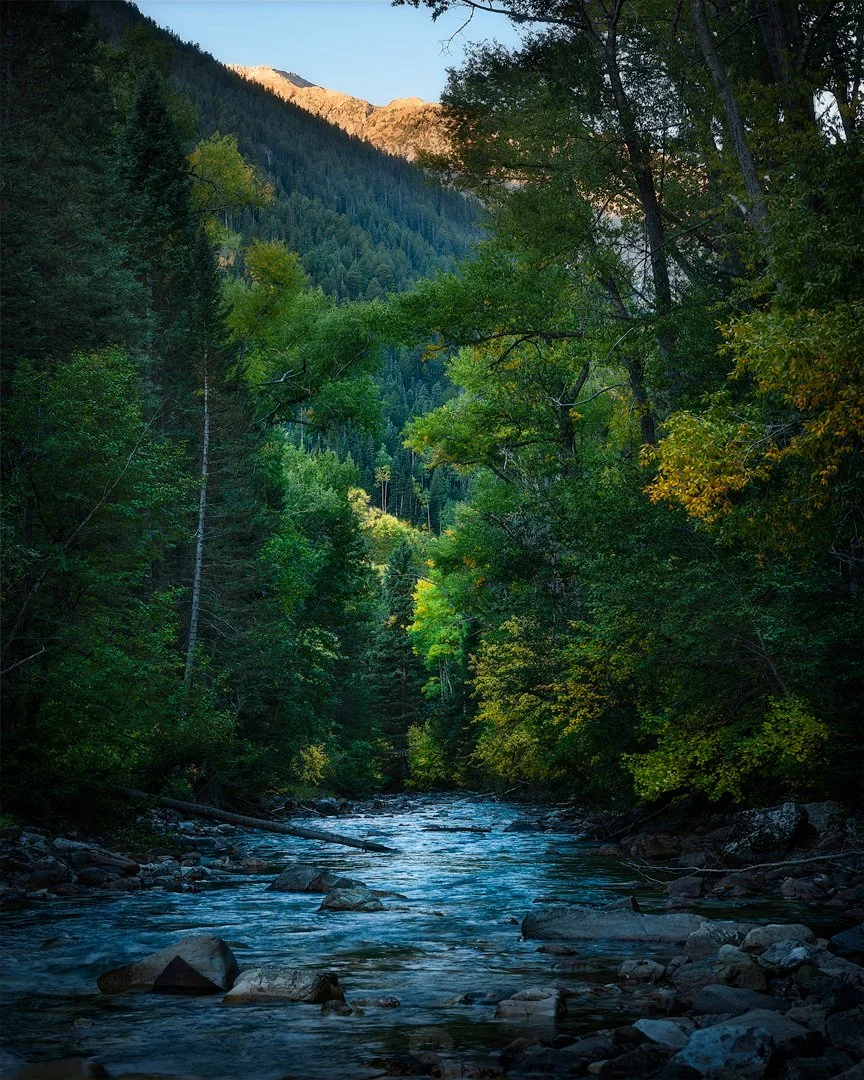 CO Stream 2 2025.jpg