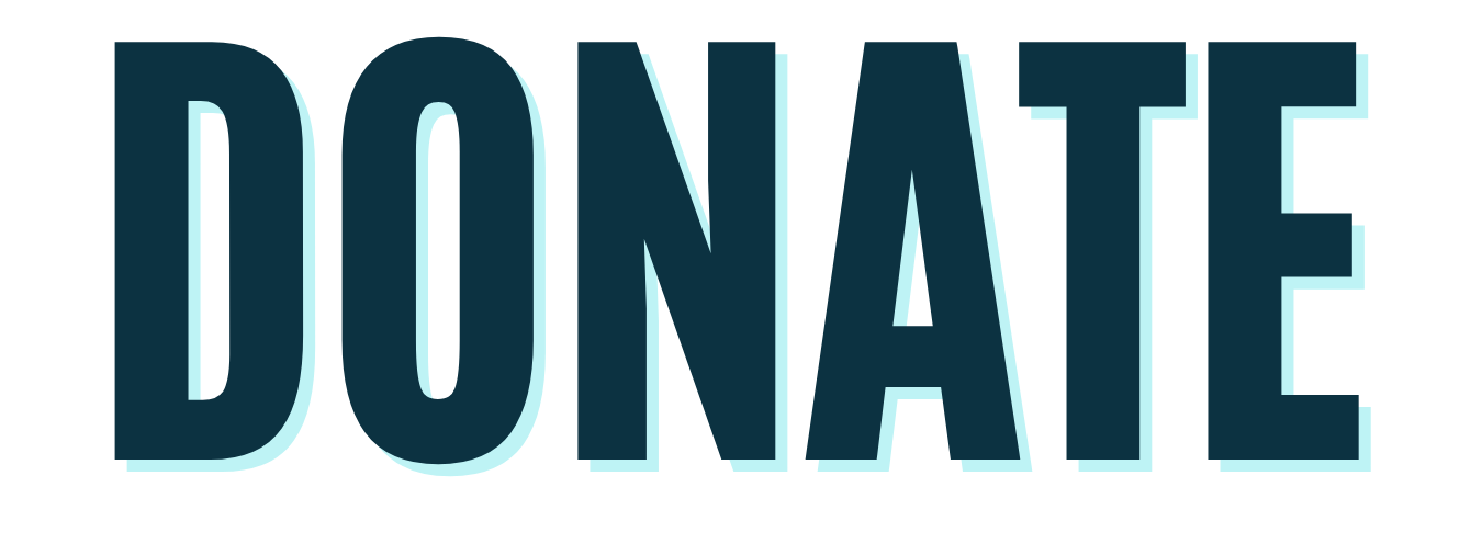 Bold text saying 'DONATE' with light blue shadow effect.