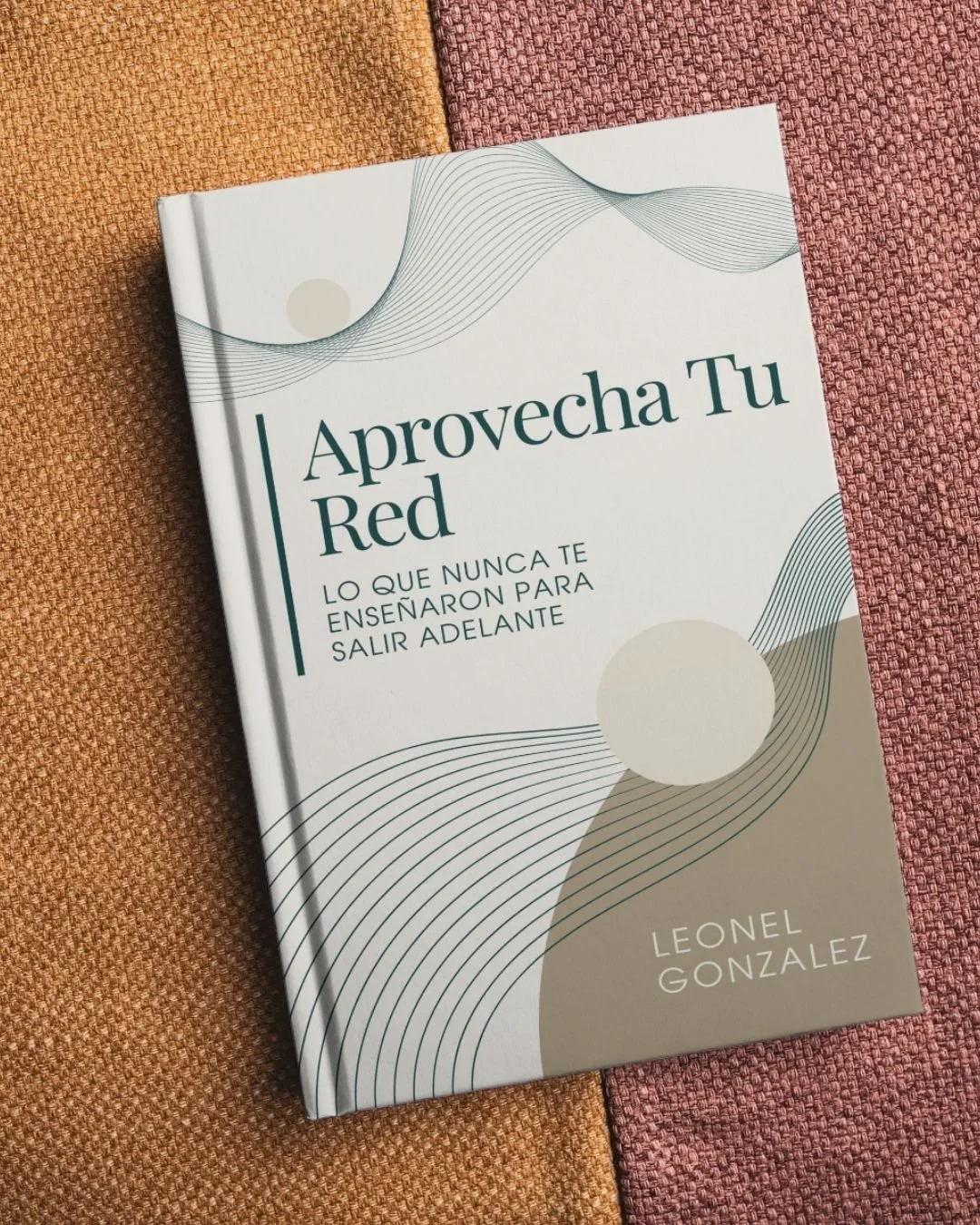 Aprovecha Tu Red: Lo Que Nunca  Te  Enseñaron Para Salir Adelante