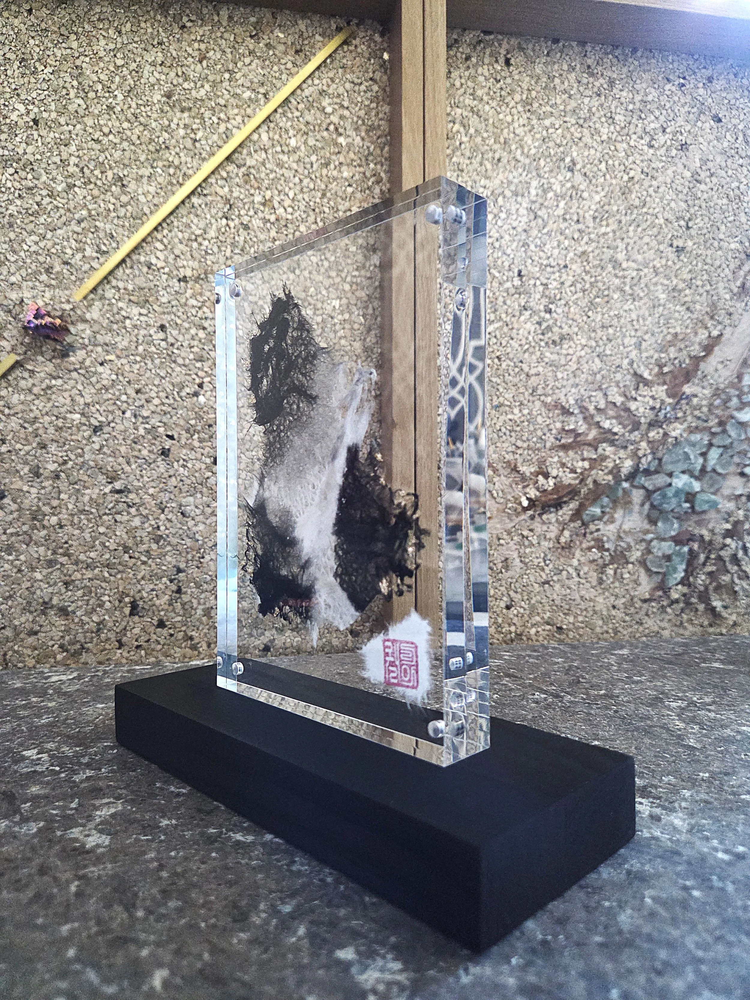 ss5a-001.jpg