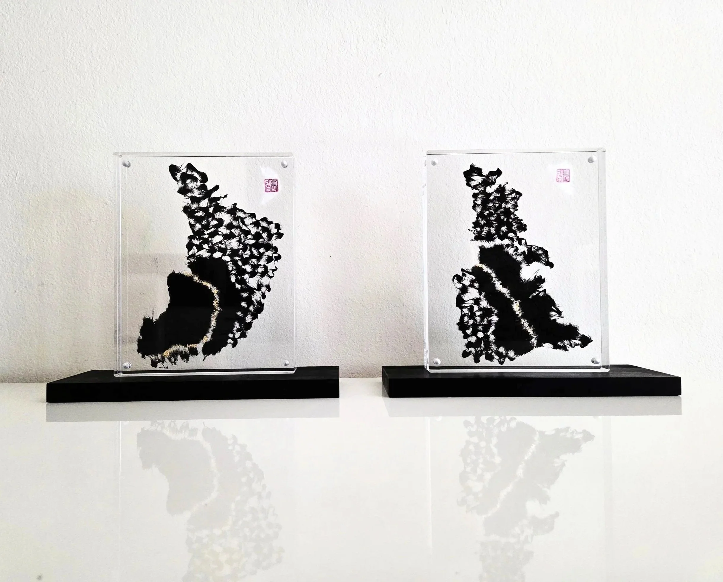 Chapter I: THE MACRO CAPSULES — The Dual Resonance Diptych
