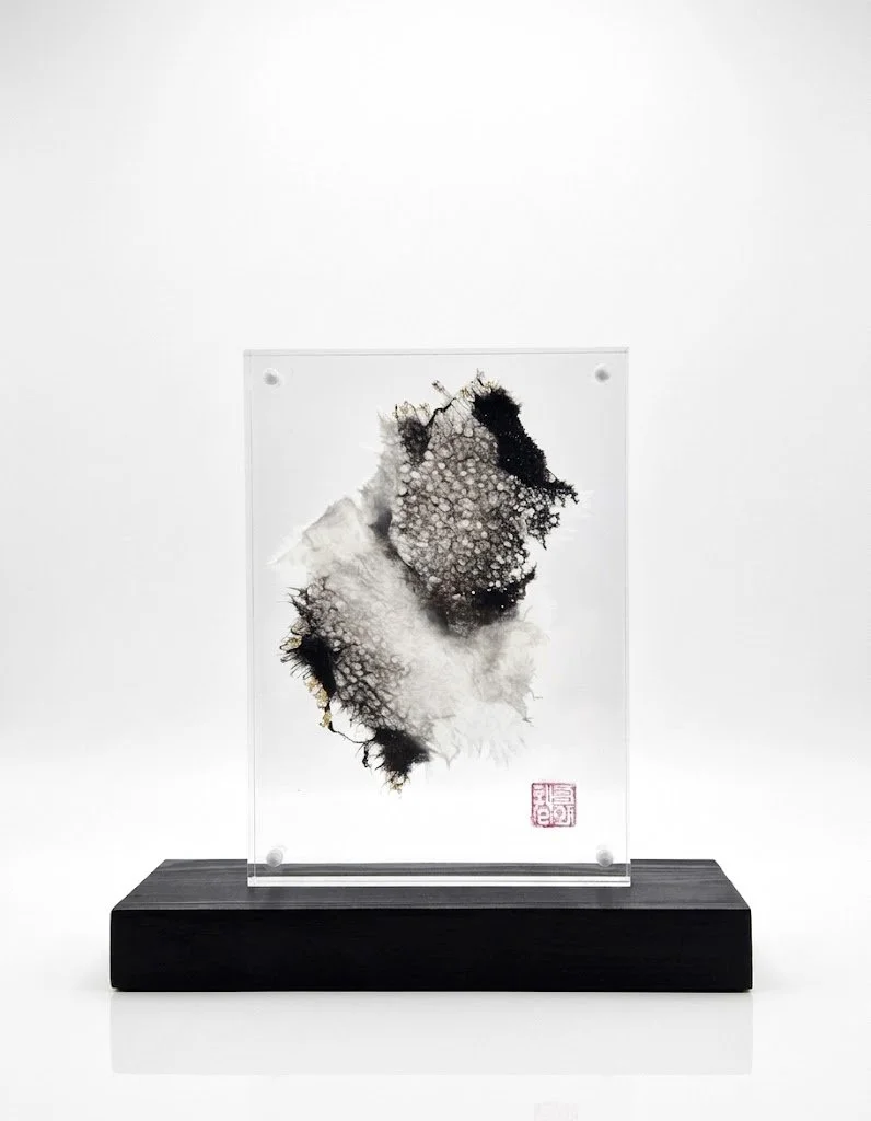 PAVILION III : Quantum Polarity III (The Harmonic Equilibrium) — The Micro Capsules
